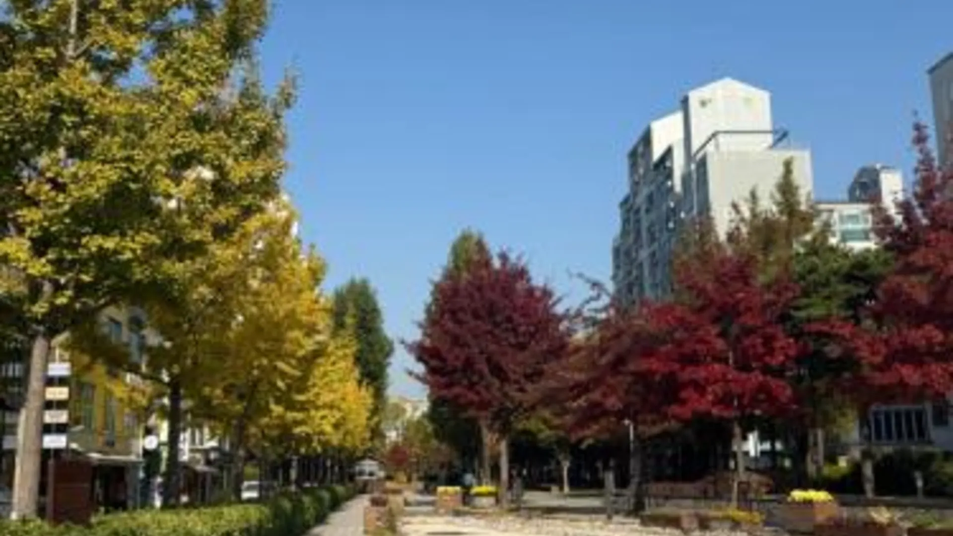 서울 Hongdae Loft Apartment #3BD 2BA #up to 16 ppl #6min walk from Hongdae station 3성급 싱글룸 부대시설