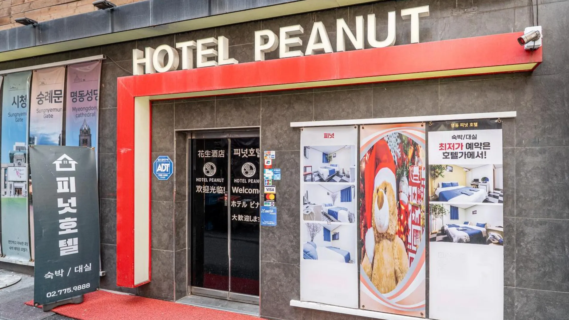 서울 명동 피넛 호텔 3성급 호텔 객실