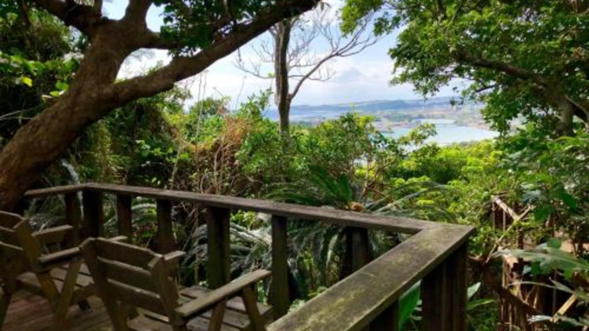 오키나와 본섬 카이자 2성급 호텔 객실