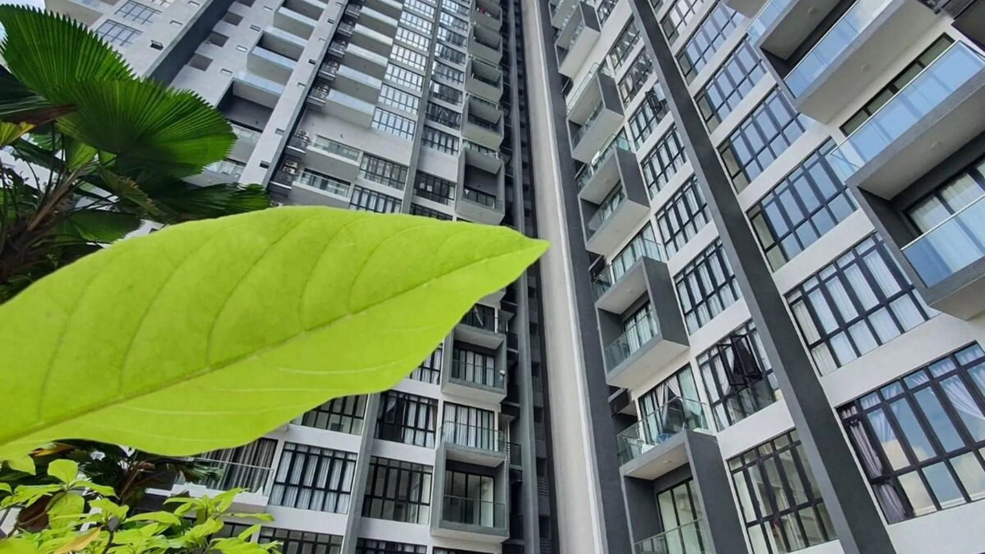 조호바루 / 조호르바루 겔랑파타 / 레고랜드의 프라이빗 하우스 (90m², 침실 2개, 프라이빗 욕실 2개) 3성급 싱글룸 로비