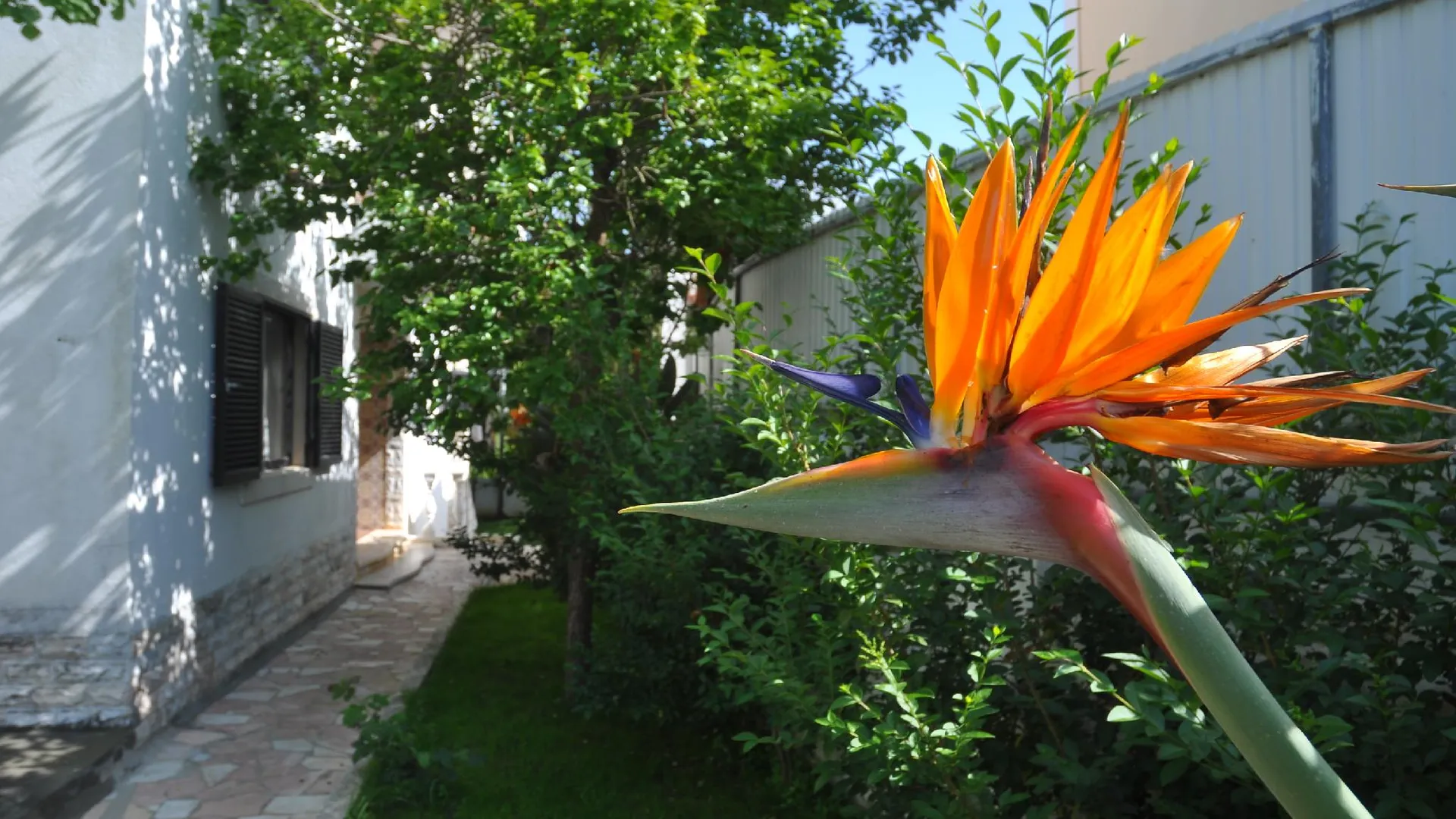 카스카이스 마넬리자 카스카이스 2성급 호텔 객실