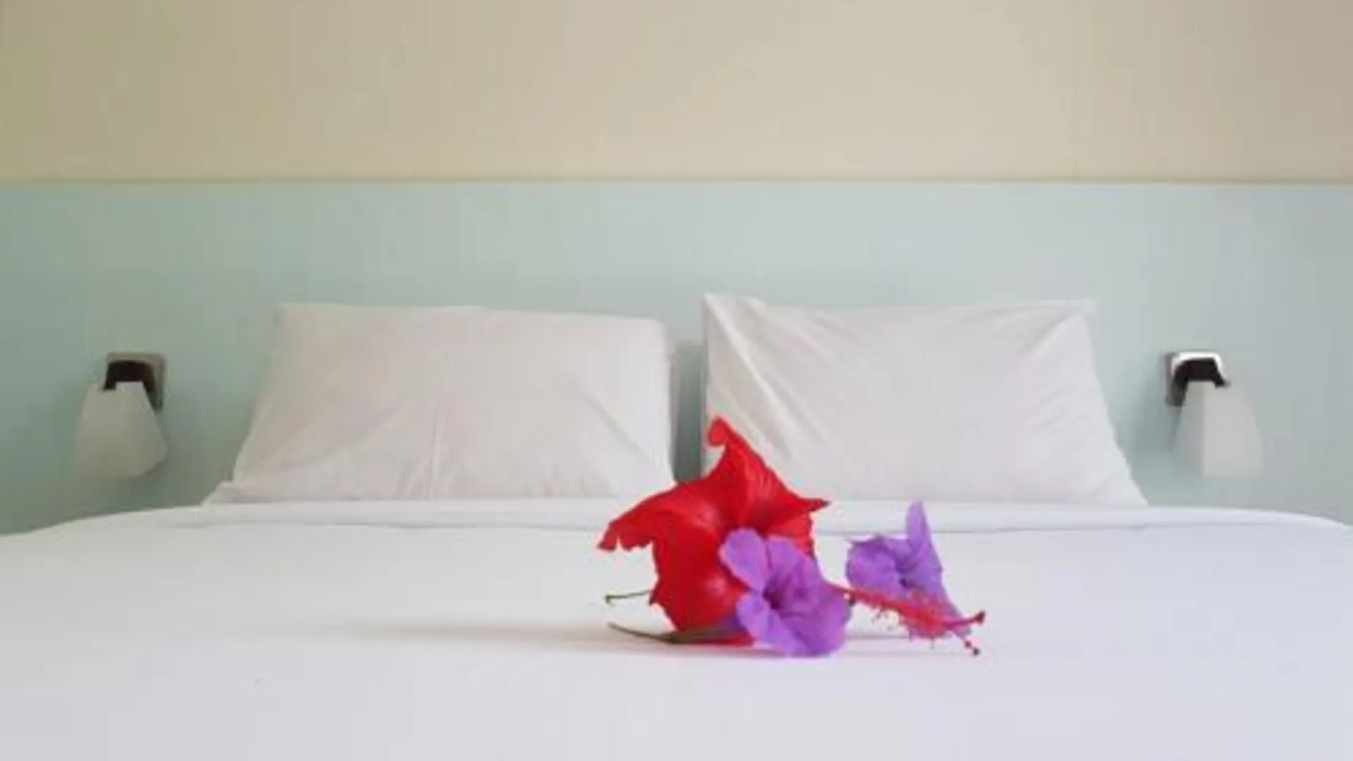 발리 아유 러브 앤 하모니 게스트하우스 1성급 호텔 스위트룸