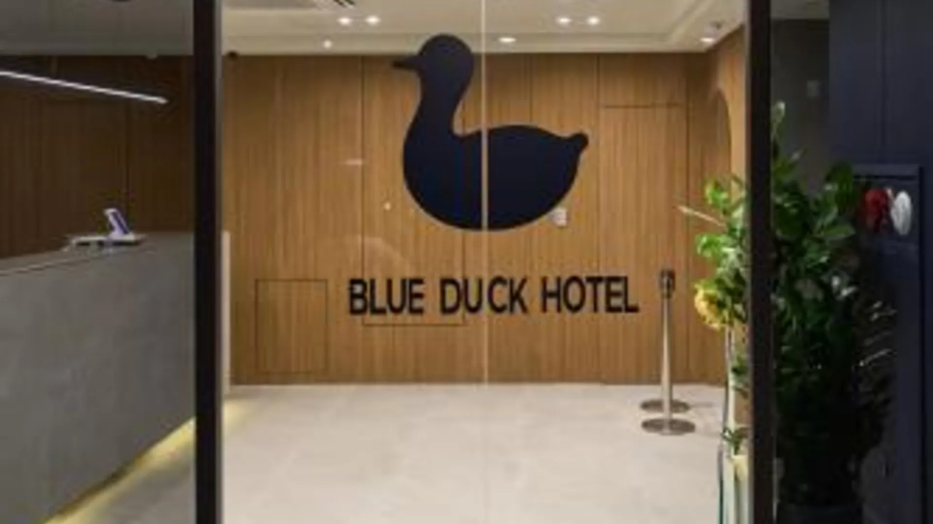 서울 종로 블루덕 호텔 호텔 객실