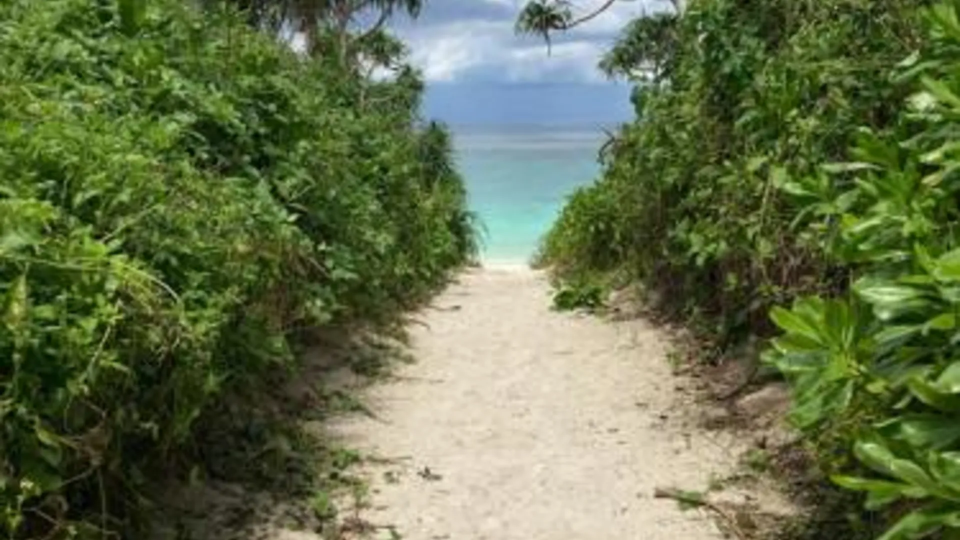 오키나와 본섬 Nakijin Resort Guest House 3성급 호텔 전망