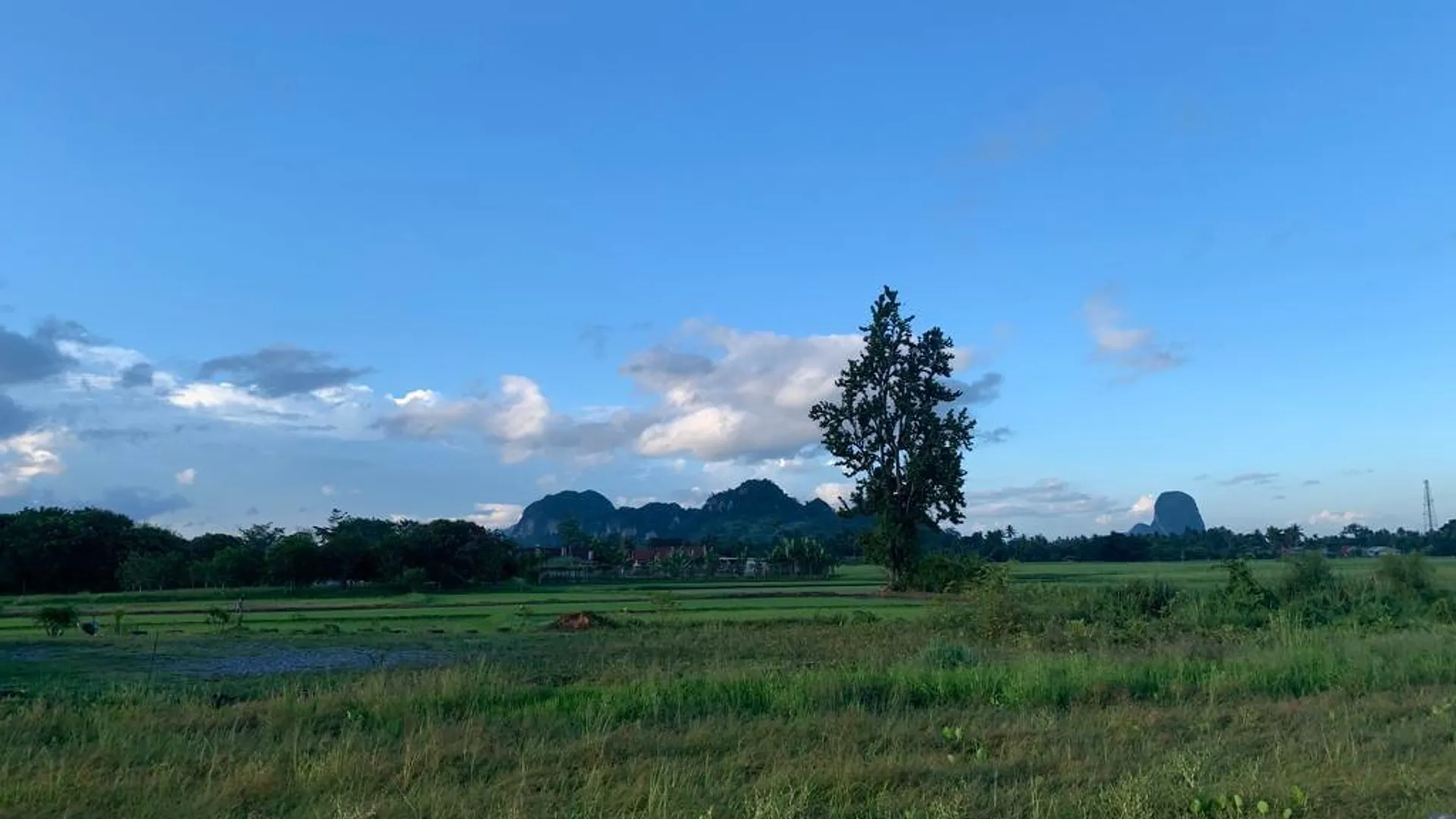 베세리 베세리의 프라이빗 하우스 (100m², 침실 2개, 프라이빗 욕실 2개) 3성급 게스트하우스 전망