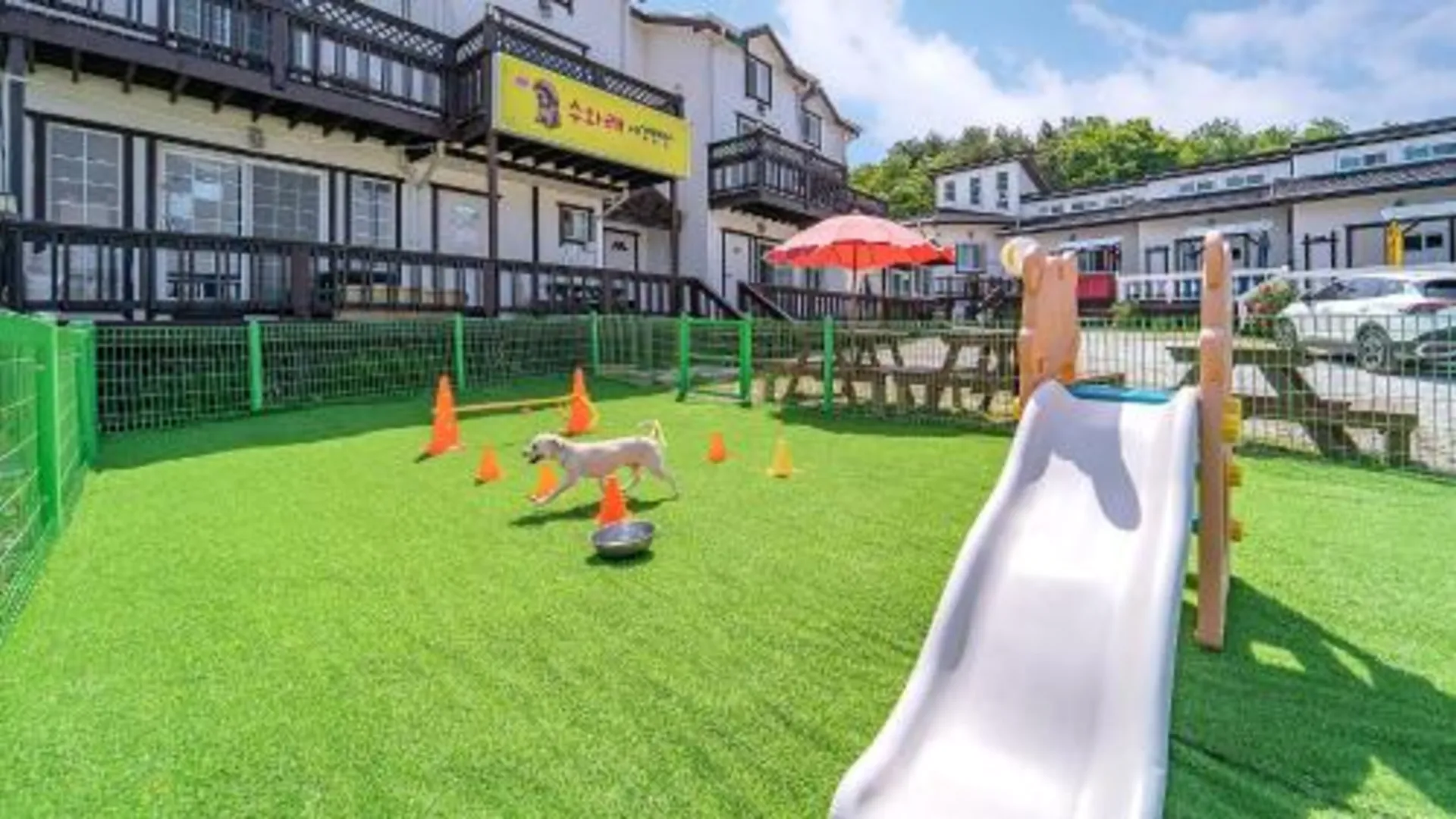 강릉 강릉 수와래 애견 동반 펜션 3성급 게스트하우스 로비