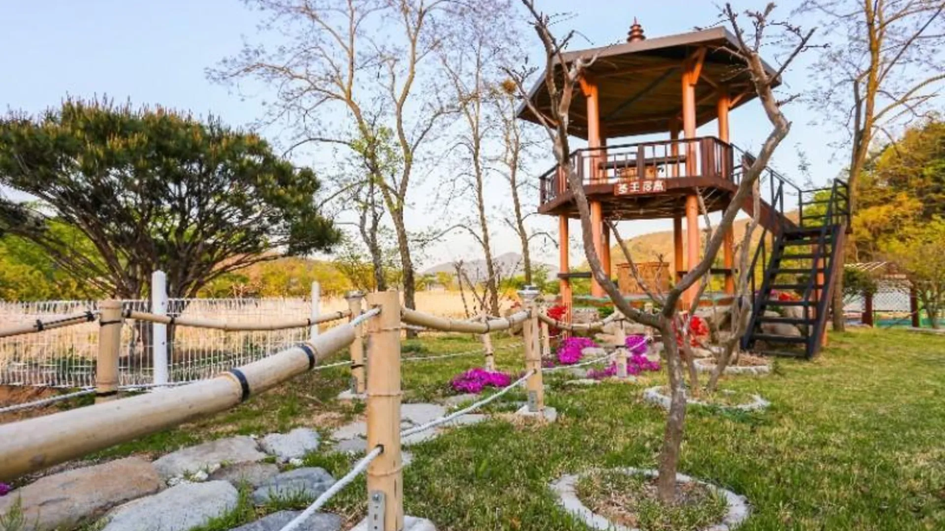 영덕 영덕 하얀집펜션 3성급 게스트하우스 레스토랑