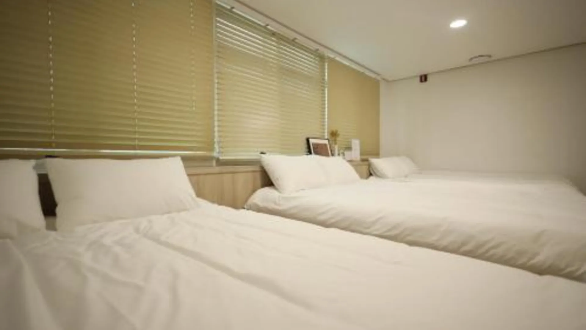 서울 만소 호스텔 in DDP 2성급 호텔 스위트룸