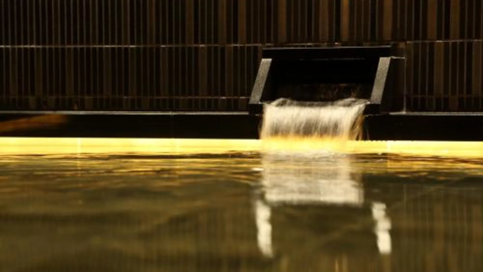 교토 더 로얄 파크 캔버스 교토 니조 3성급 호텔 부대시설