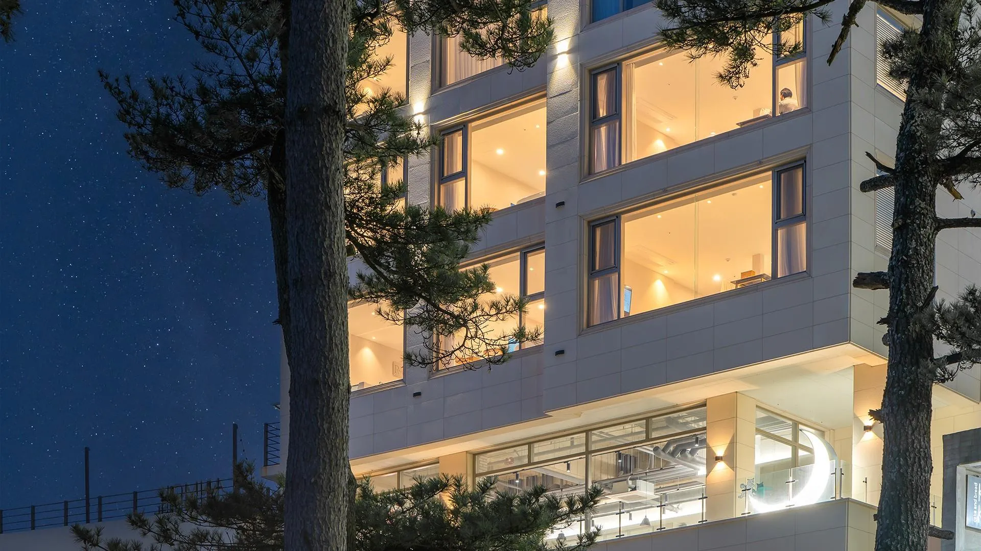 강릉 레이벨류 펜션 2성급 게스트하우스 외관