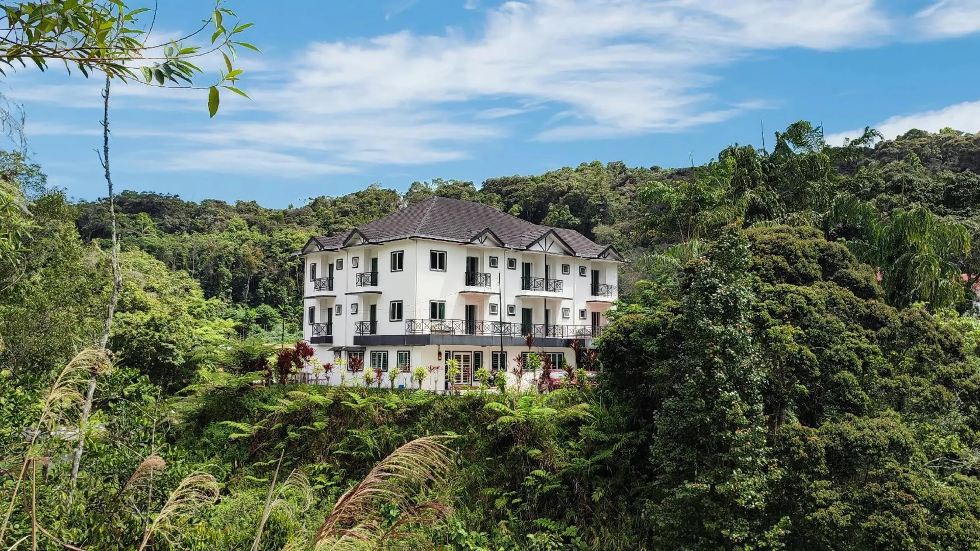 카메론 하일랜즈 로버스 인 게스트하우스 - 11세 앤 이상만 1성급 호텔 객실