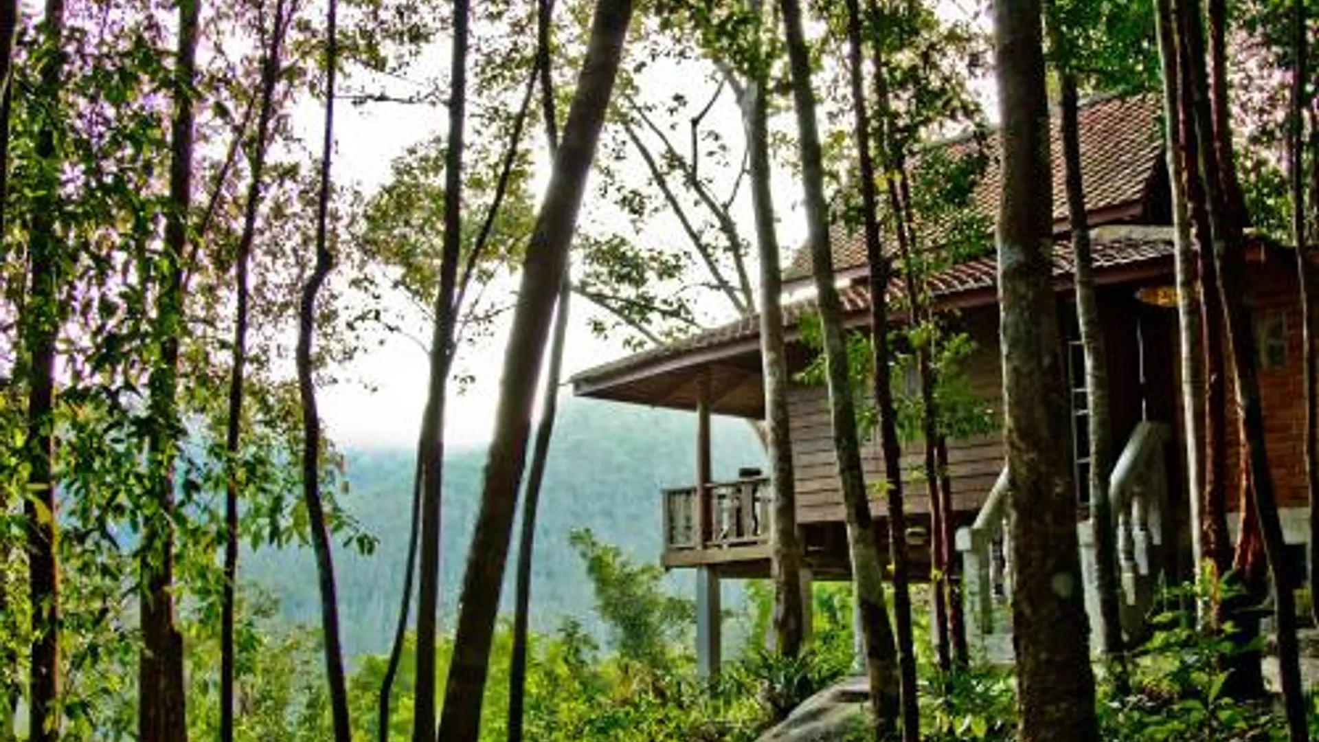 핫야이 체스트넛 힐 에코 리조트 2성급 호텔 전망