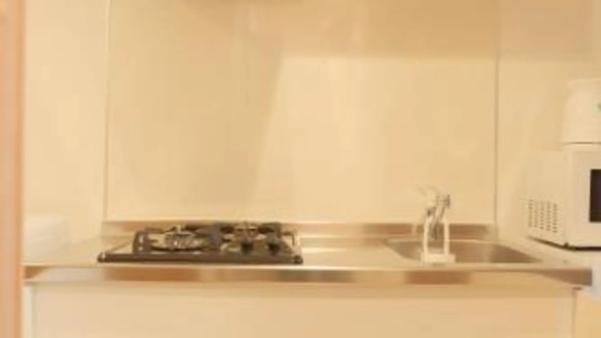 오사카 Grand Pacific戎本町 3성급 게스트하우스 수영장