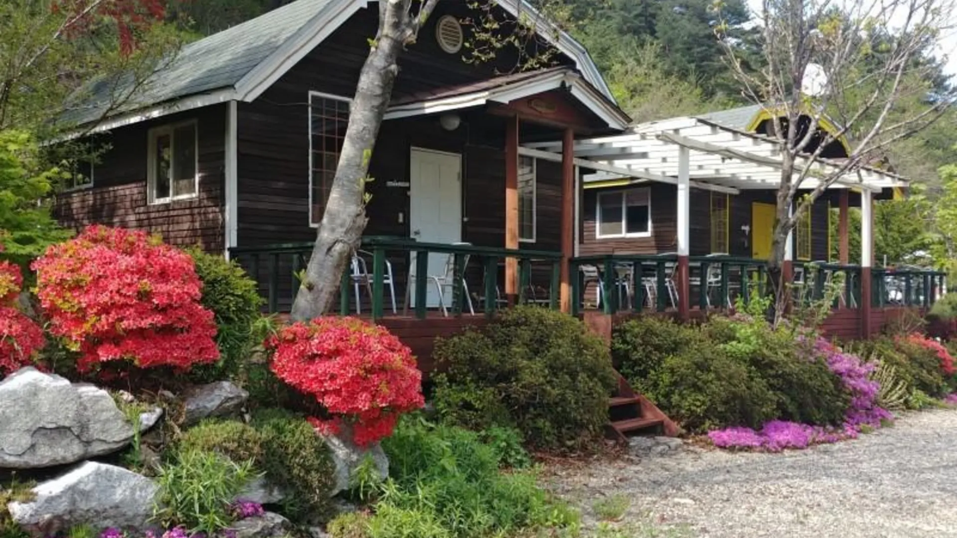 양양 양양 언덕위에하얀집펜션 2성급 게스트하우스 객실