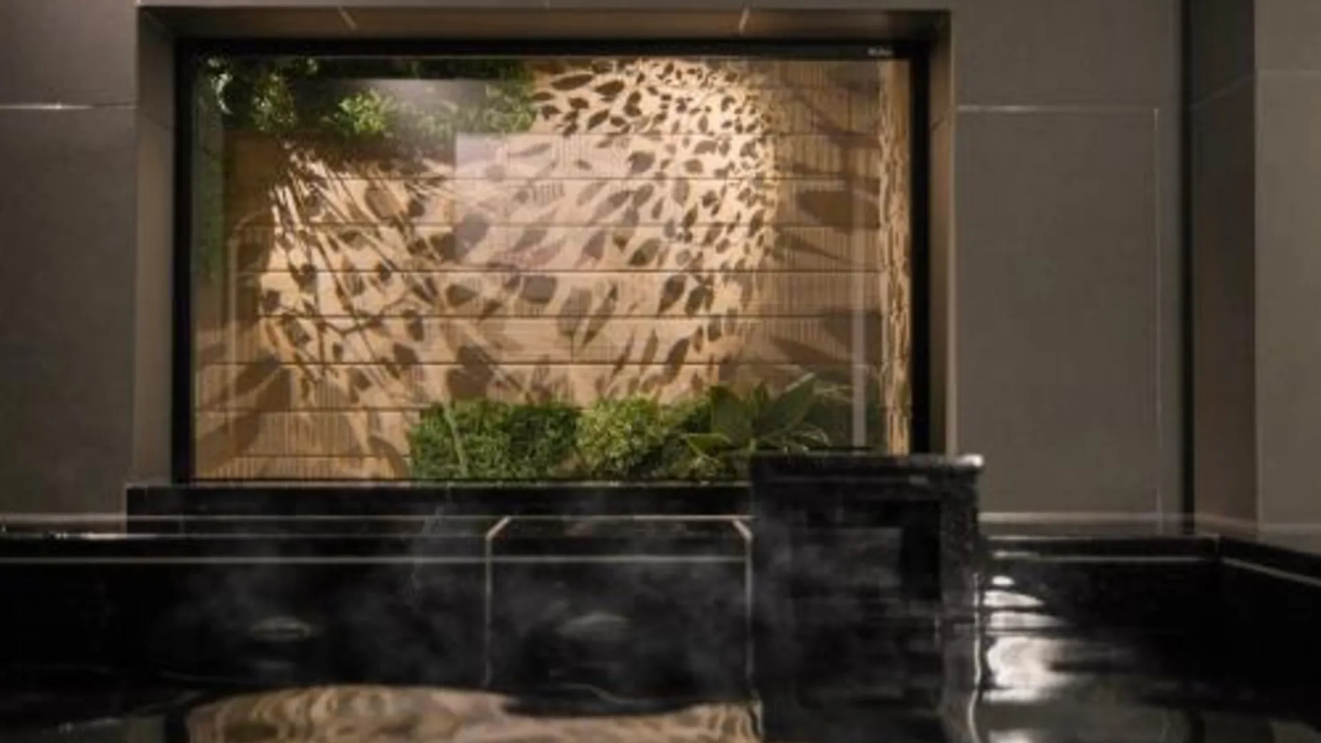 도쿄 / 동경 Super Hotel Premier Ikebukuro Natural Hot Spring 3성급 호텔 전망