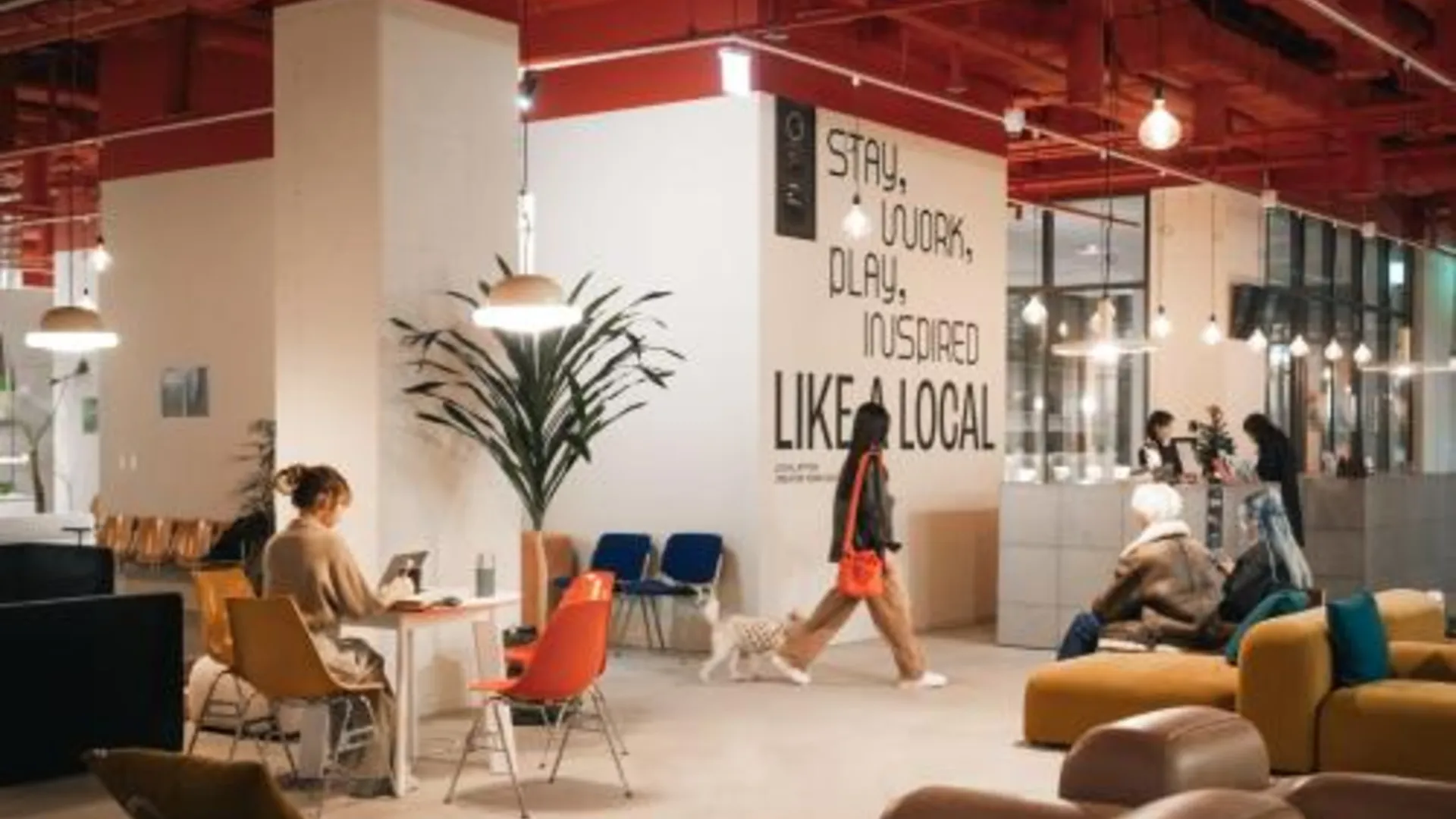 서울 로컬스티치 크리에이터 타운 서교 3성급 호텔 레스토랑