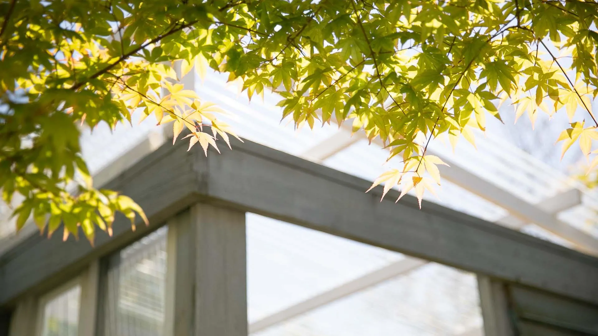 인천 영종도 을왕리꿈펜션 2성급 게스트하우스 스위트룸