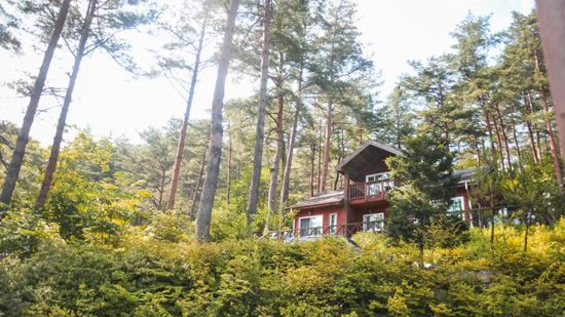 양양 양양 환상의성펜션 2성급 게스트하우스 부대시설