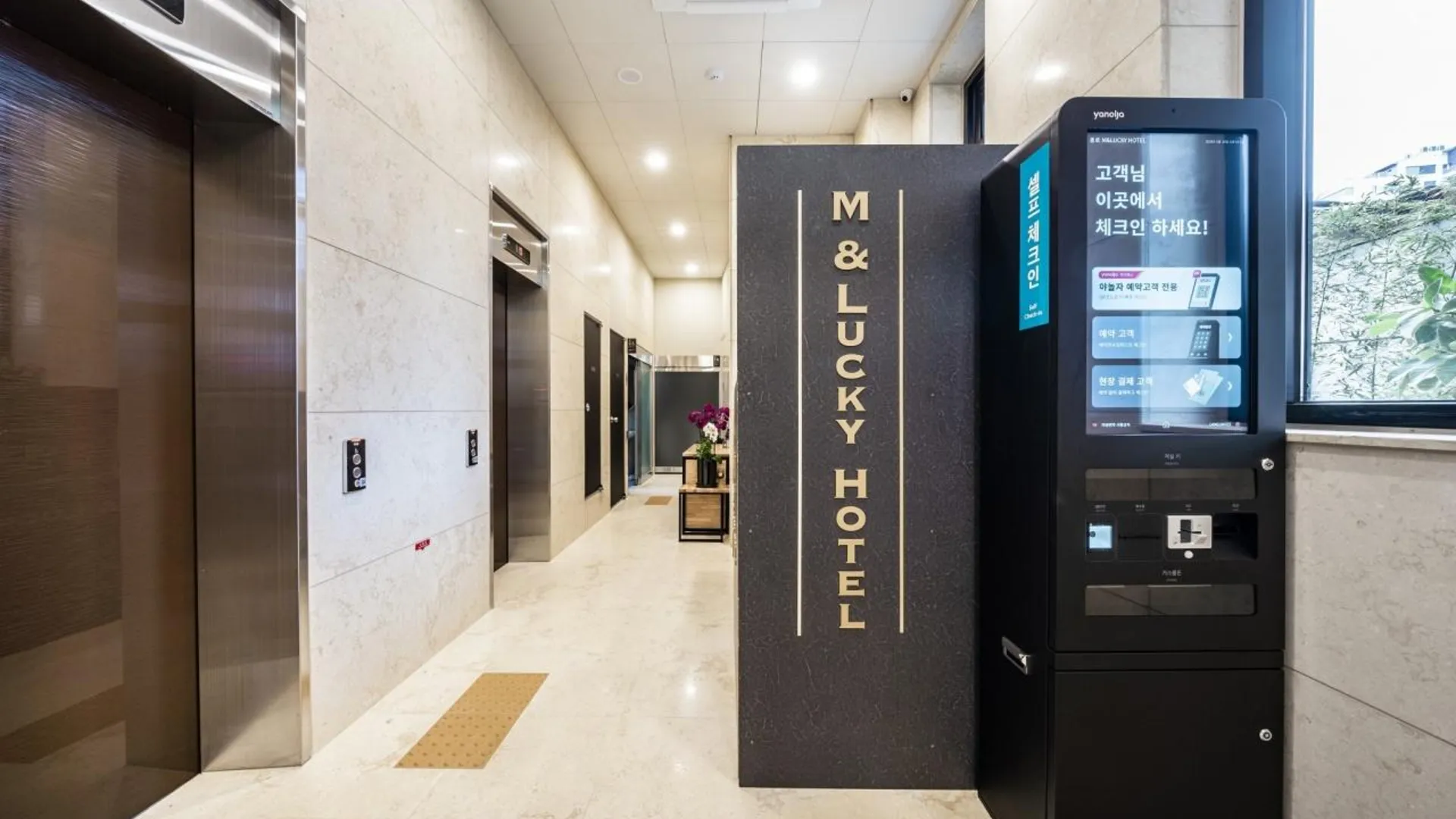 서울 종로 엠 앤 럭키 호텔 3성급 호텔 수영장