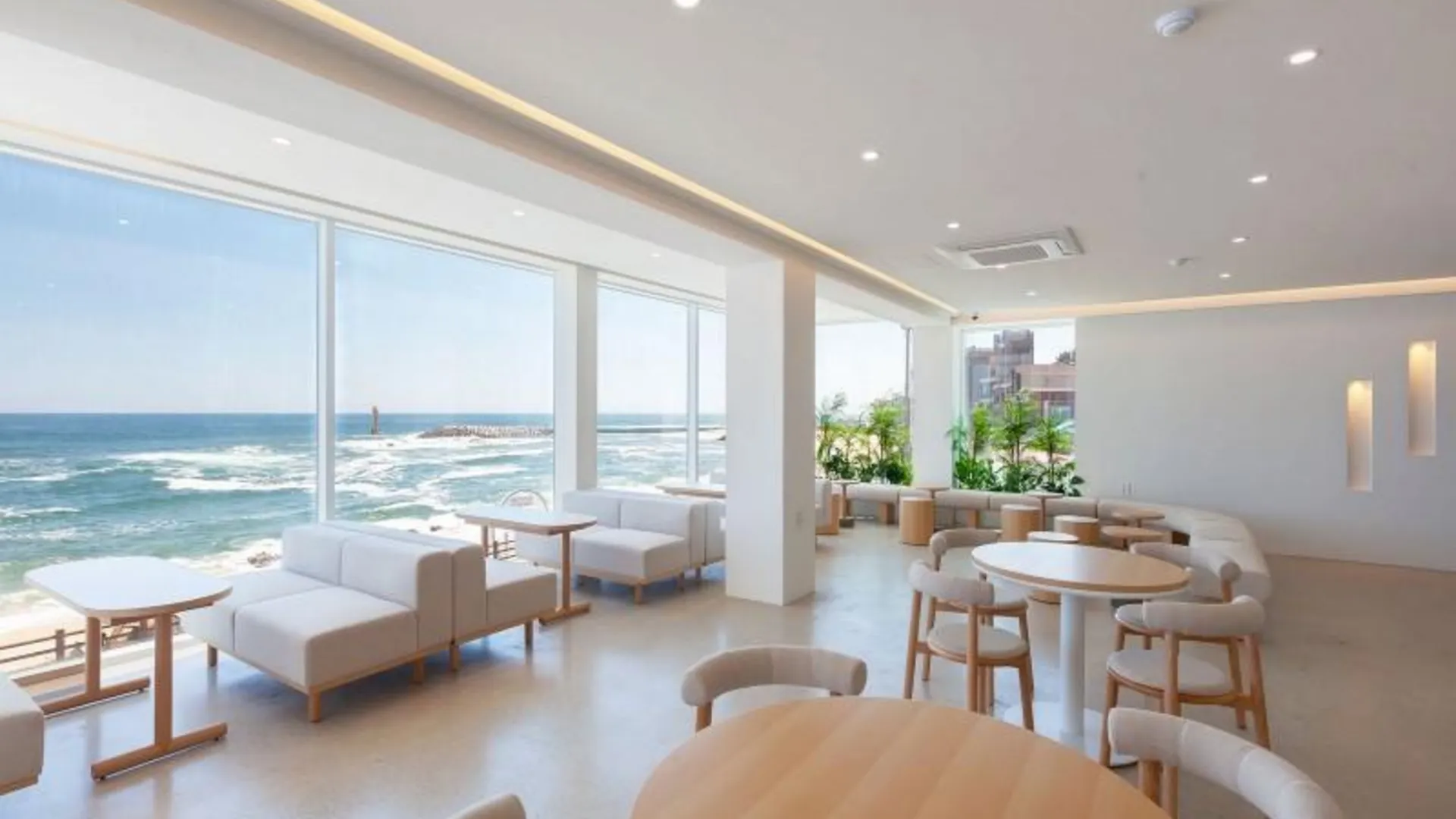 강릉 강릉 오핑하우스펜션 2성급 게스트하우스 외관