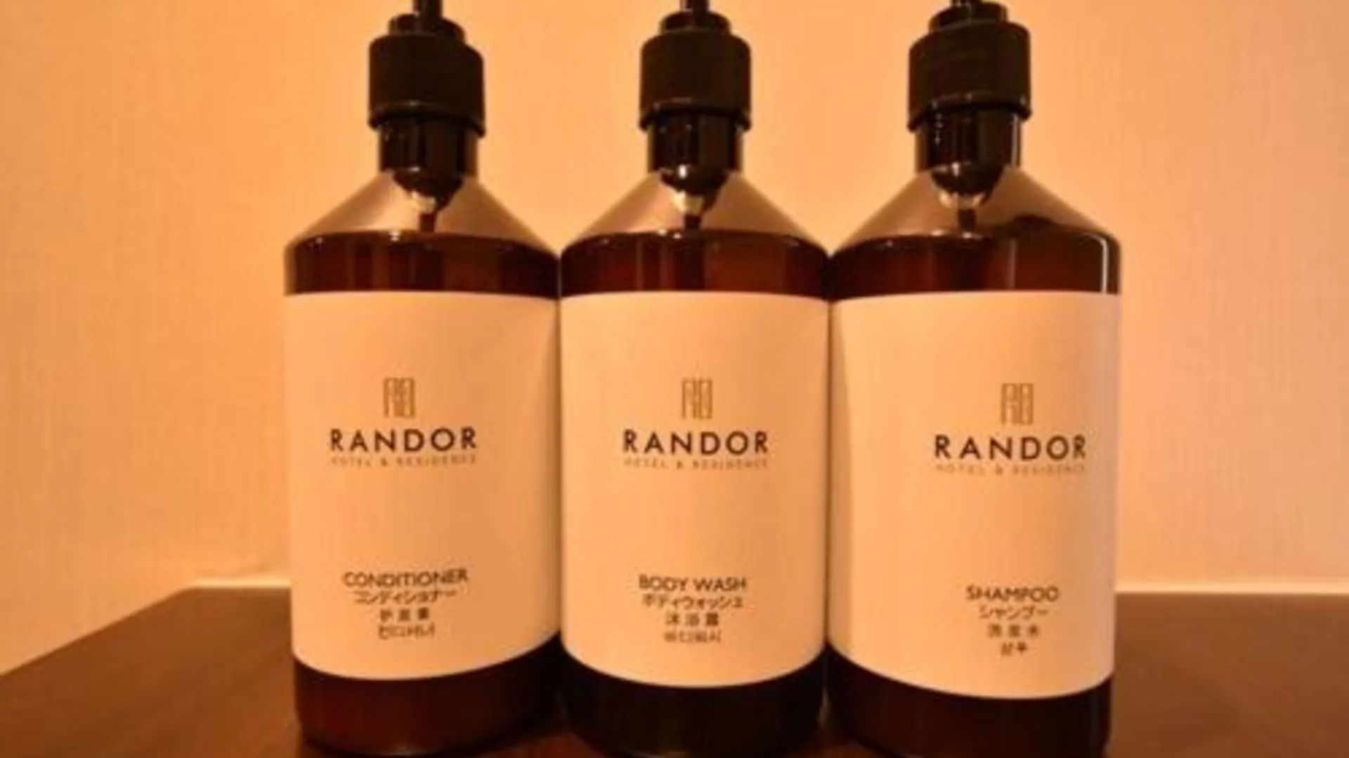 도쿄 / 동경 Randor Residence Tokyo Annex 2성급 호텔 스위트룸