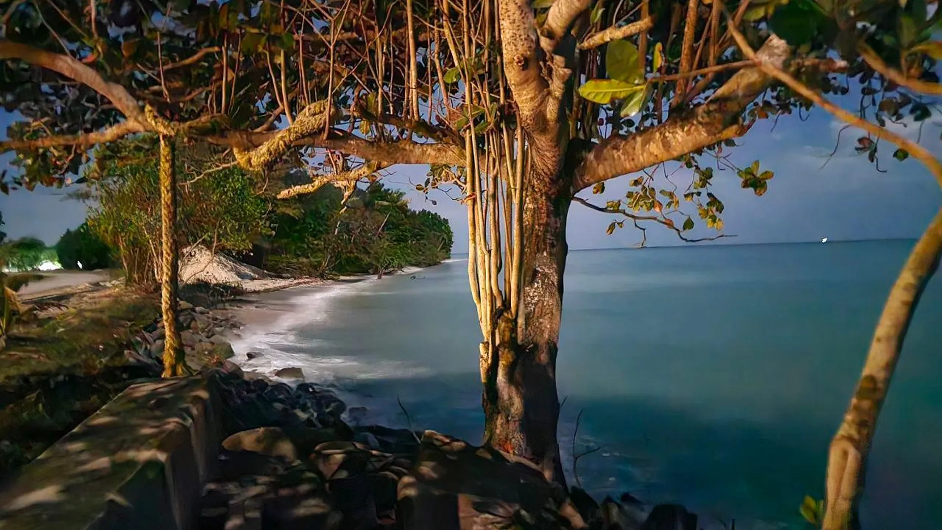 코타키나발루 바둥운 씨사이드뷰 3성급 게스트하우스 부대시설