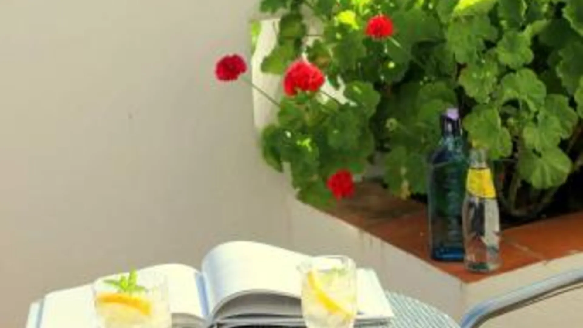 알란드로알 Alandroal Guest House, Hotel 3성급 호텔 부대시설