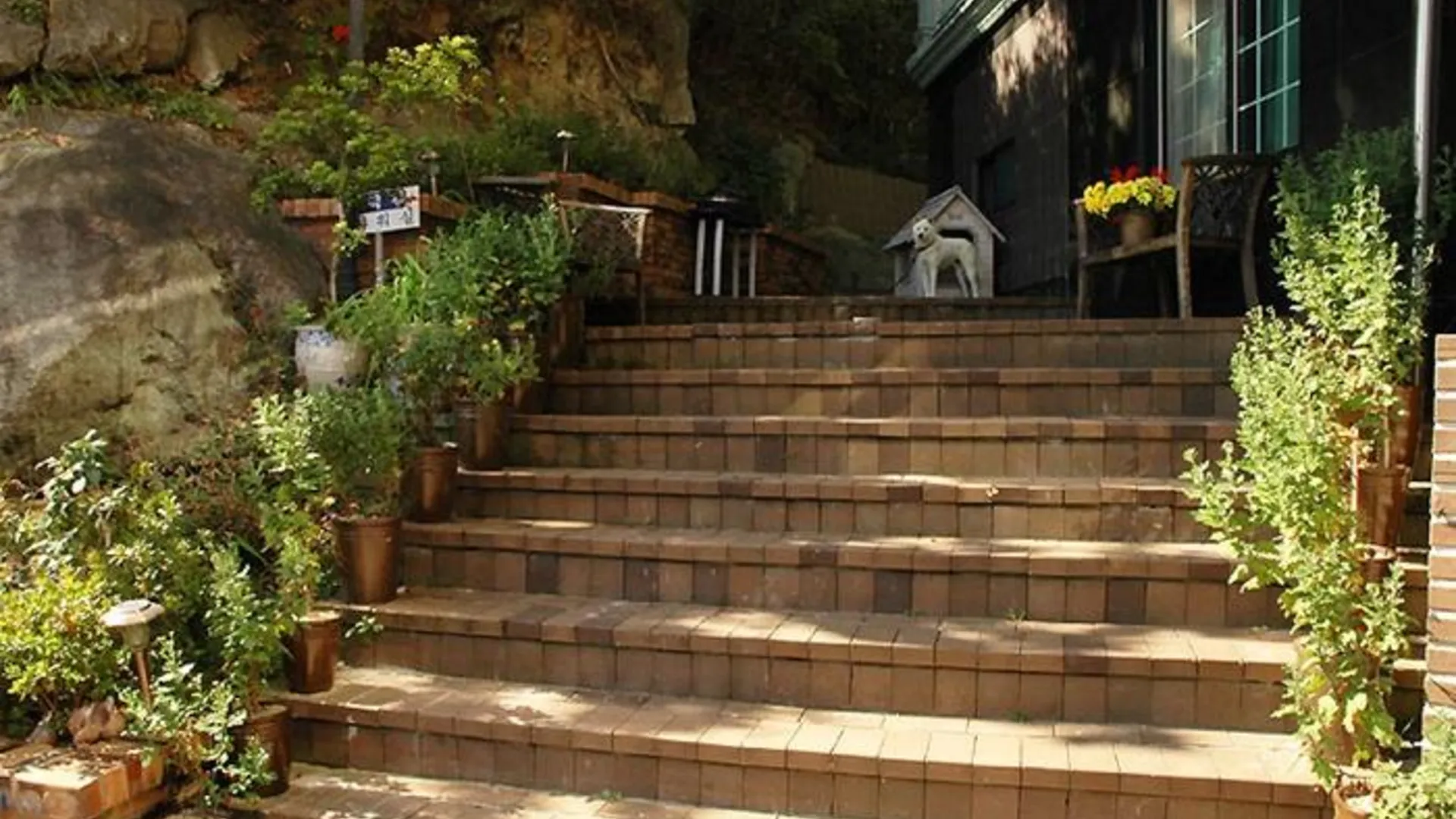 양양 Sea Garden Pension 1성급 게스트하우스 부대시설