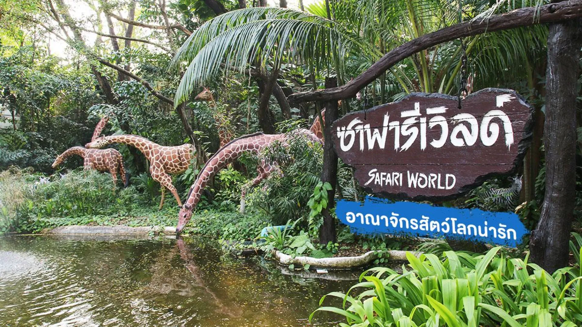 방콕 SK 리조트 2성급 호텔 수영장