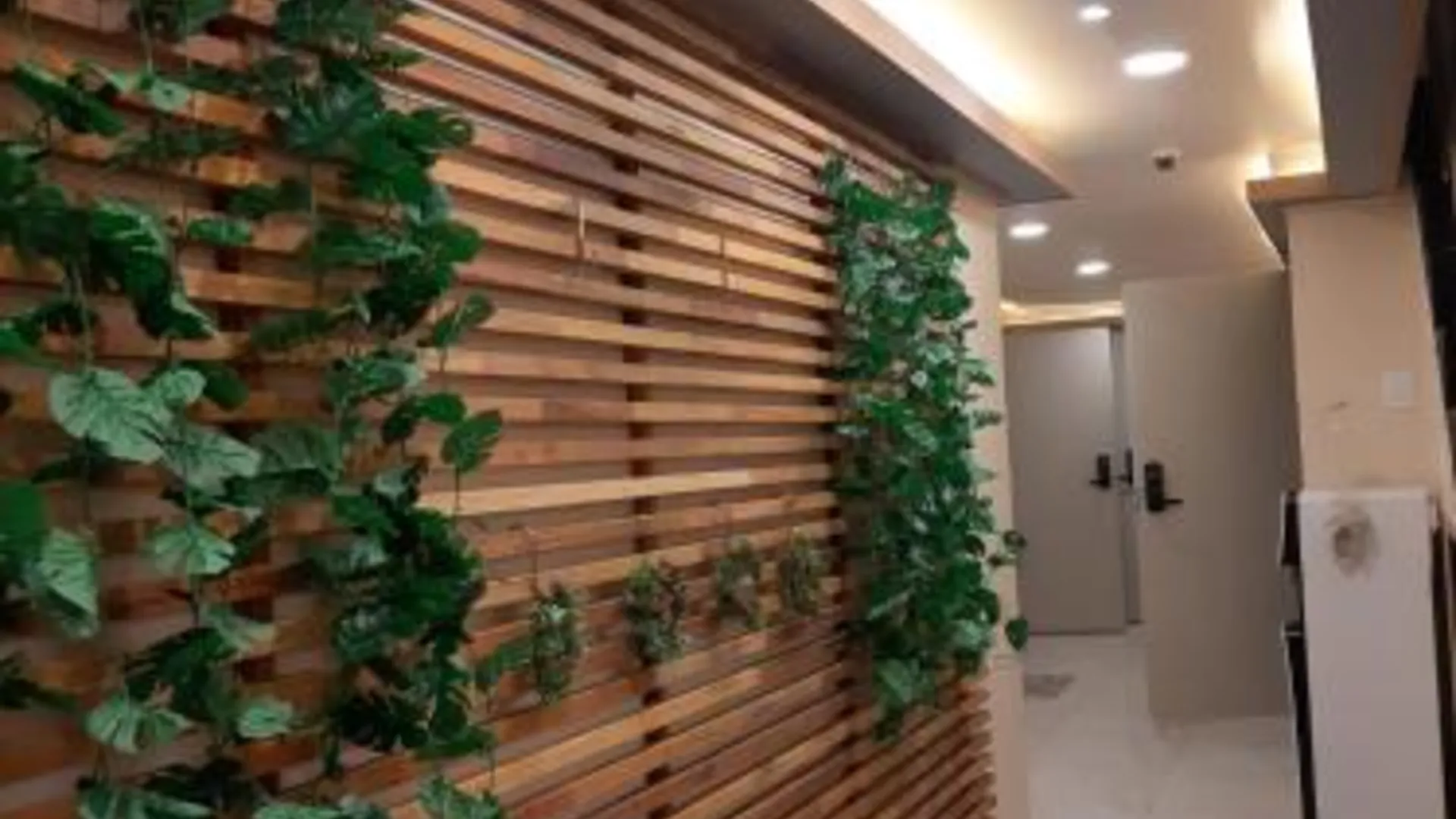 서울 엘로 호스텔 1성급 호텔 외관