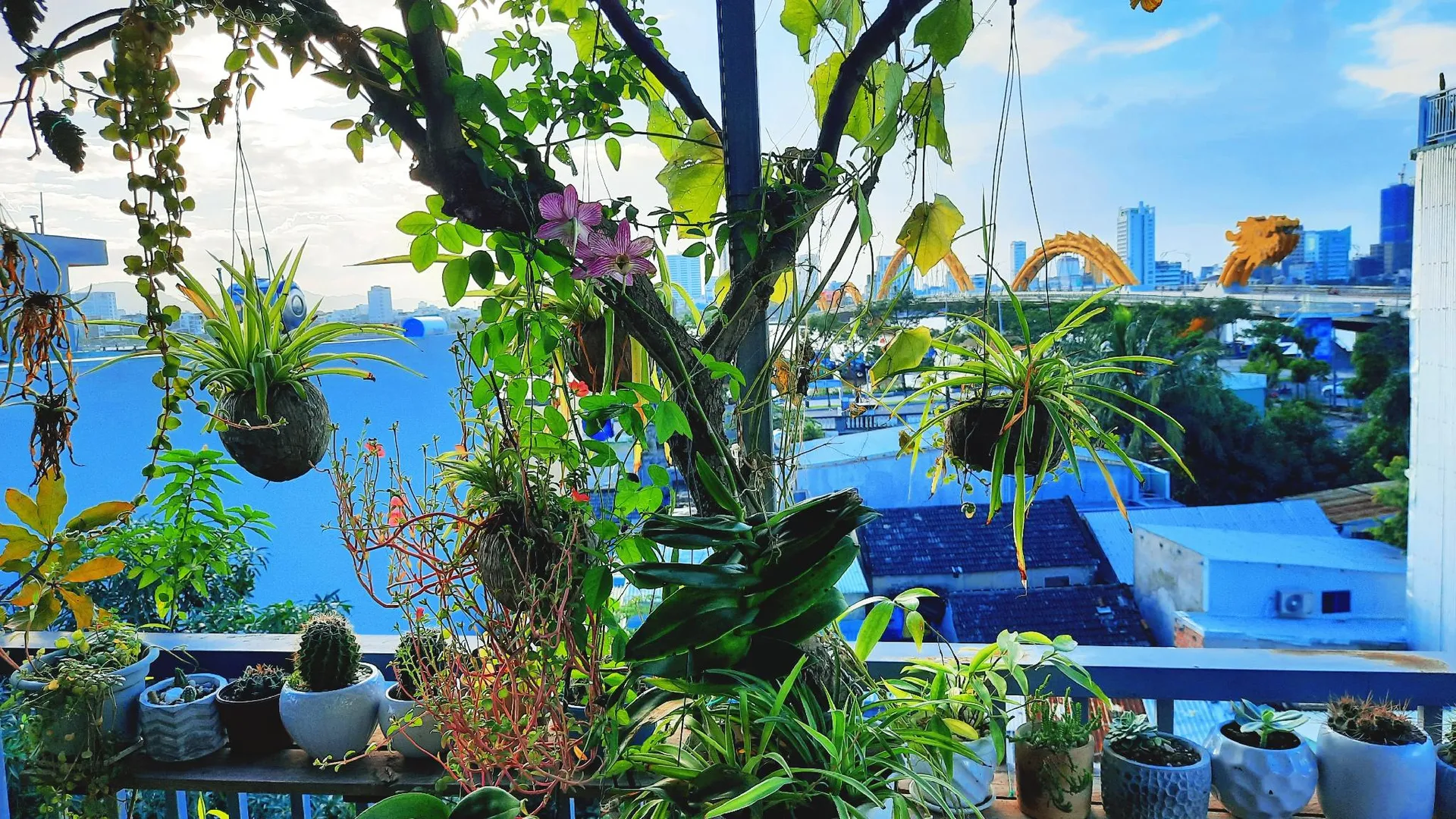 다낭 푸옥미의 프라이빗 하우스 (17m², 침실 1개, 프라이빗 욕실 1개) 3성급 싱글룸 외관