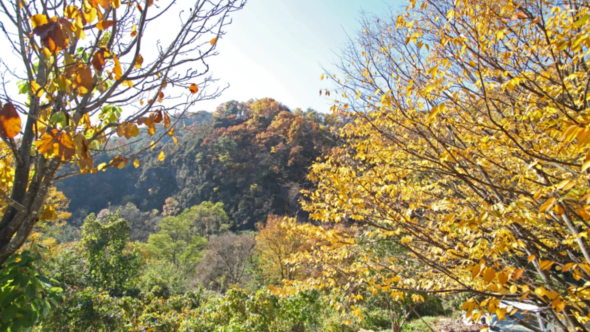 단양 단양 샬롬펜션 3성급 게스트하우스 객실