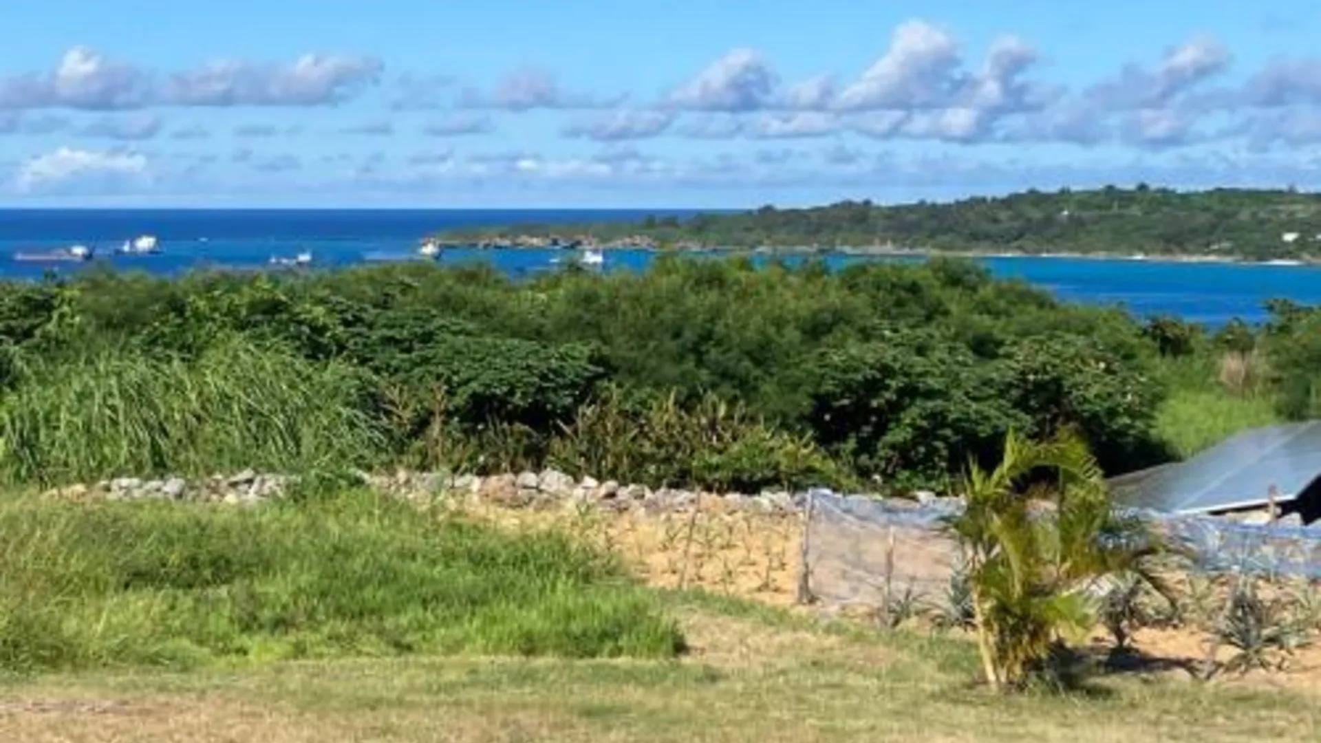 오키나와 본섬 ＰＥＮＳＩＯＮ　ＳＨＩＭＡＫＡＺＥ 3성급 호텔 객실