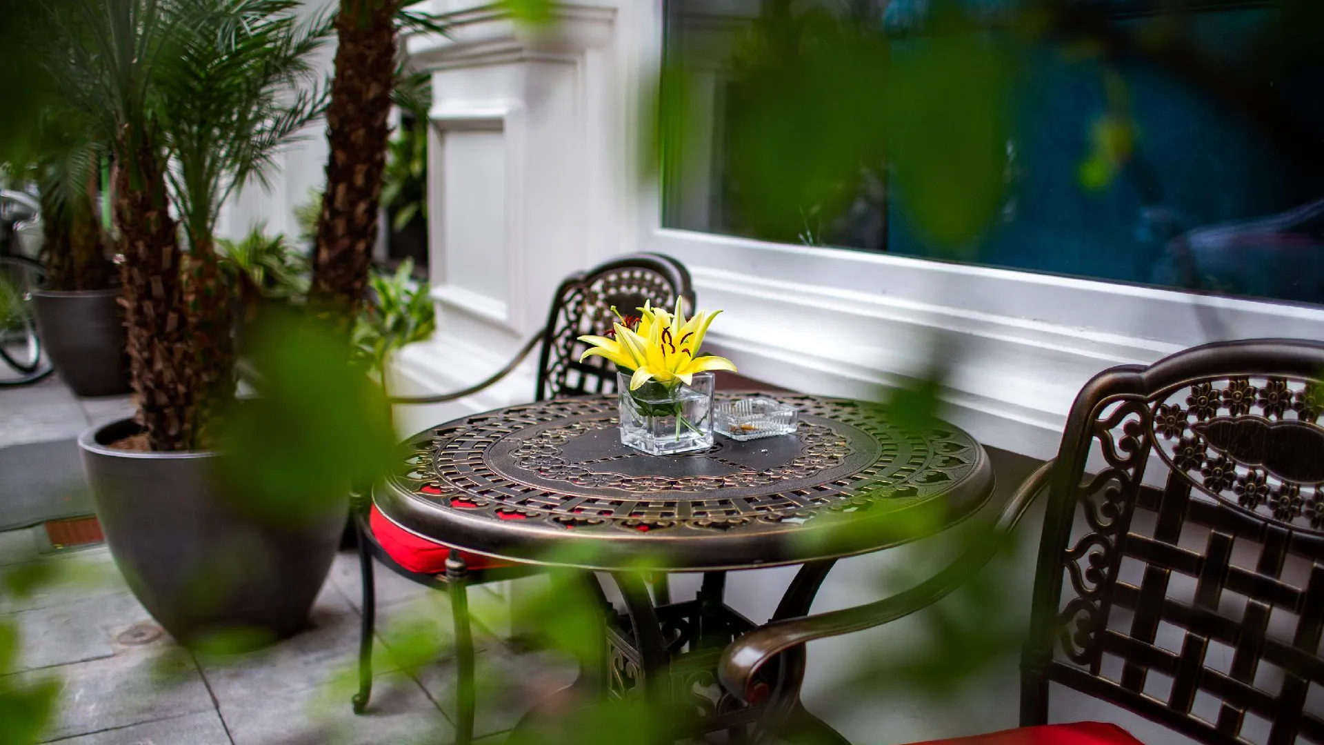 하노이 어쿠스틱 프리미엄 호텔 앤 스파 4성급 호텔 전망