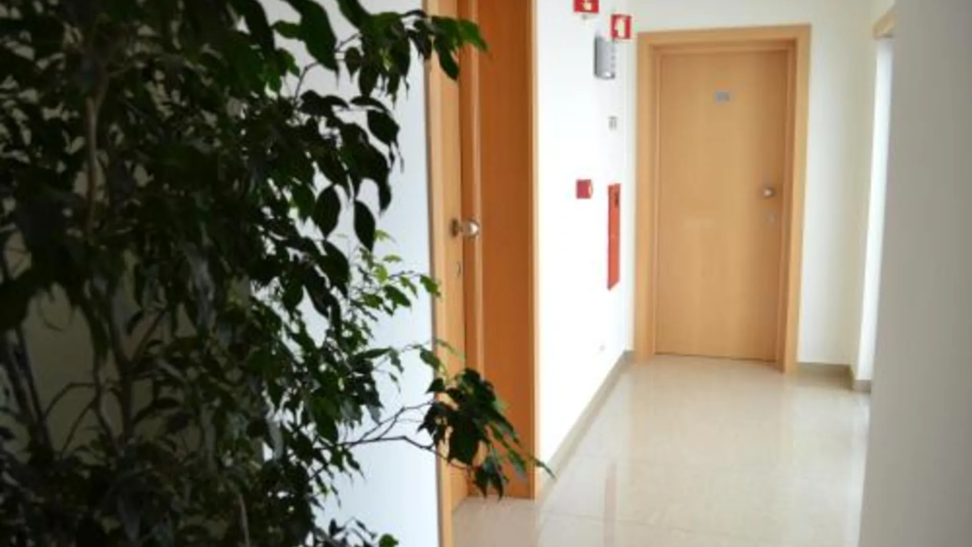 빌라 레알 데 산토 안토니오 Arenilha Guest House 3성급 호텔 외관