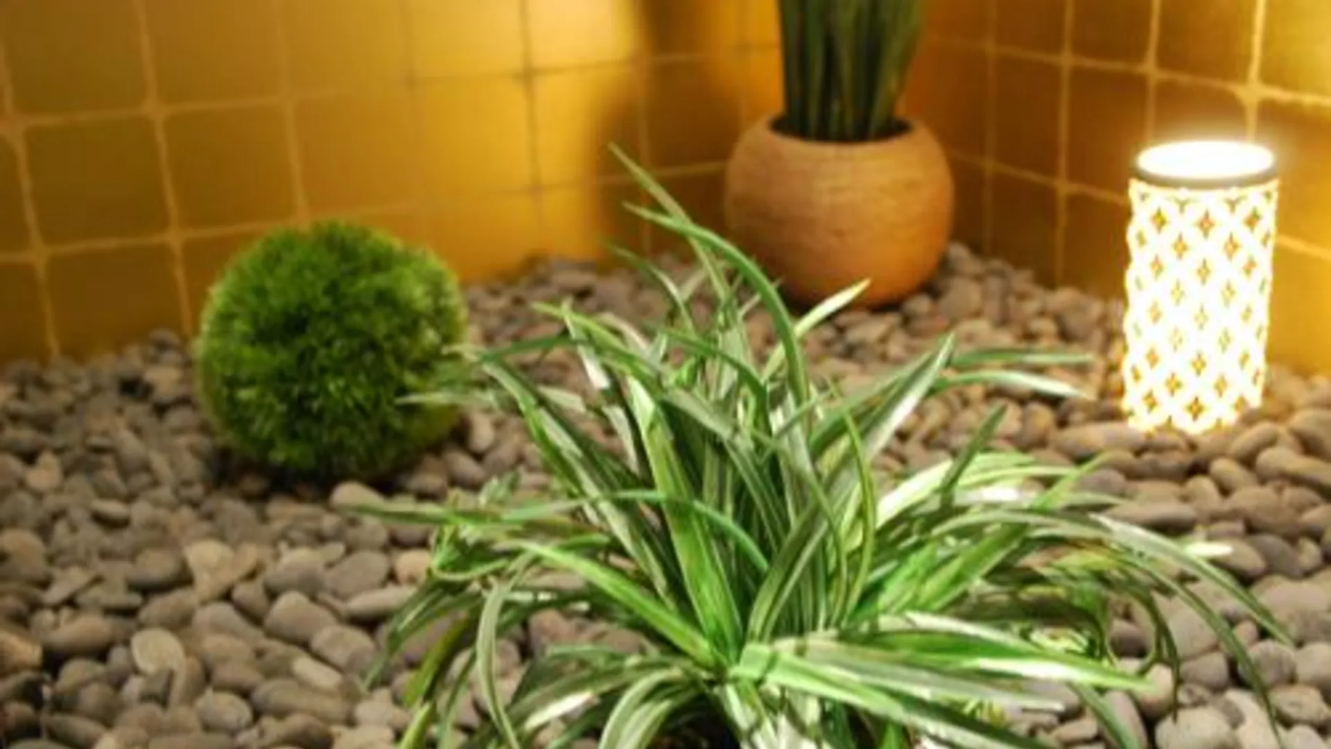 교토 호텔 알파 교토 - 성인 전용 3성급 호텔 객실