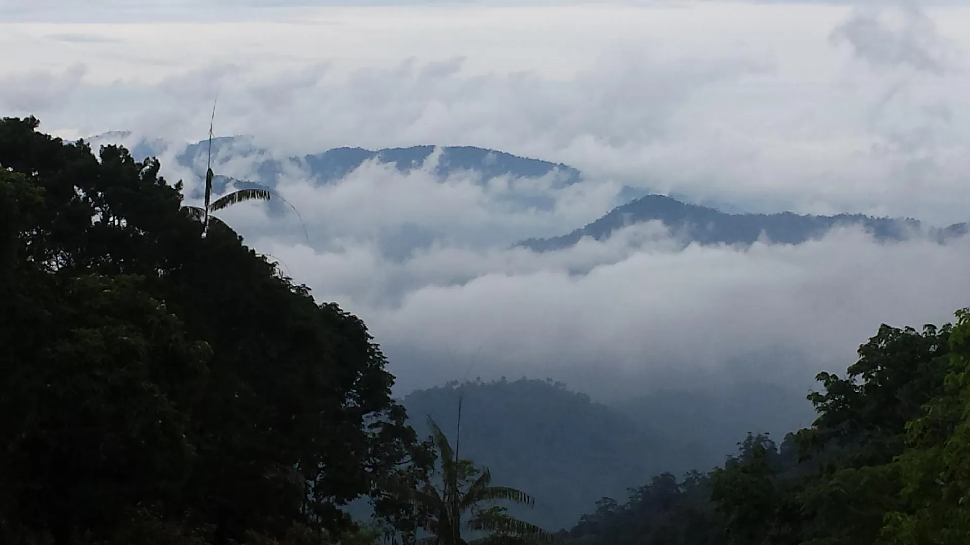 Bukit Fraser 프레저 힐의 아파트먼트 (95m², 침실 2개, 프라이빗 욕실 2개) 2성급 싱글룸 레스토랑