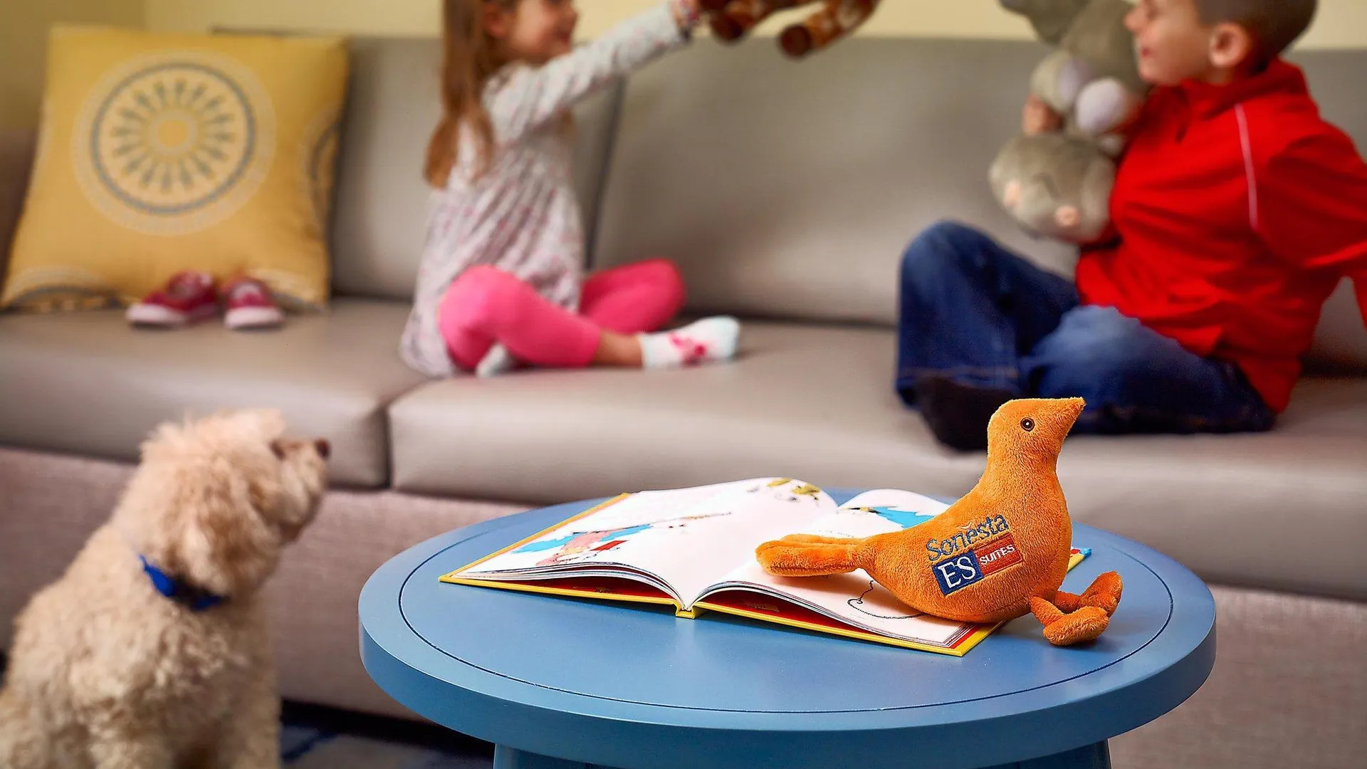 벌링턴 (MA) 스테이브리지 스위트 보스턴 - 벌링턴 바이 IHG 3성급 호텔 외관