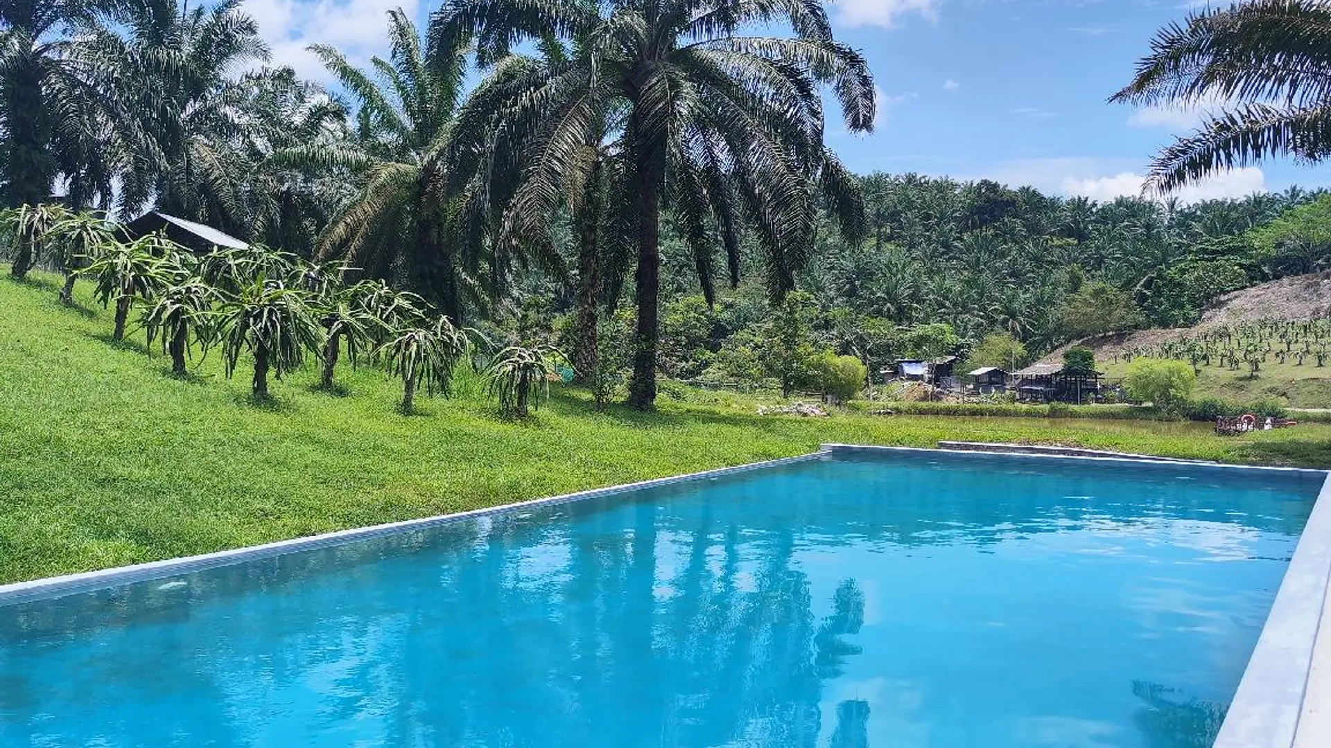 크루앙 탈룰라 힐 팜스테이 클루앙 5성급 호텔 로비