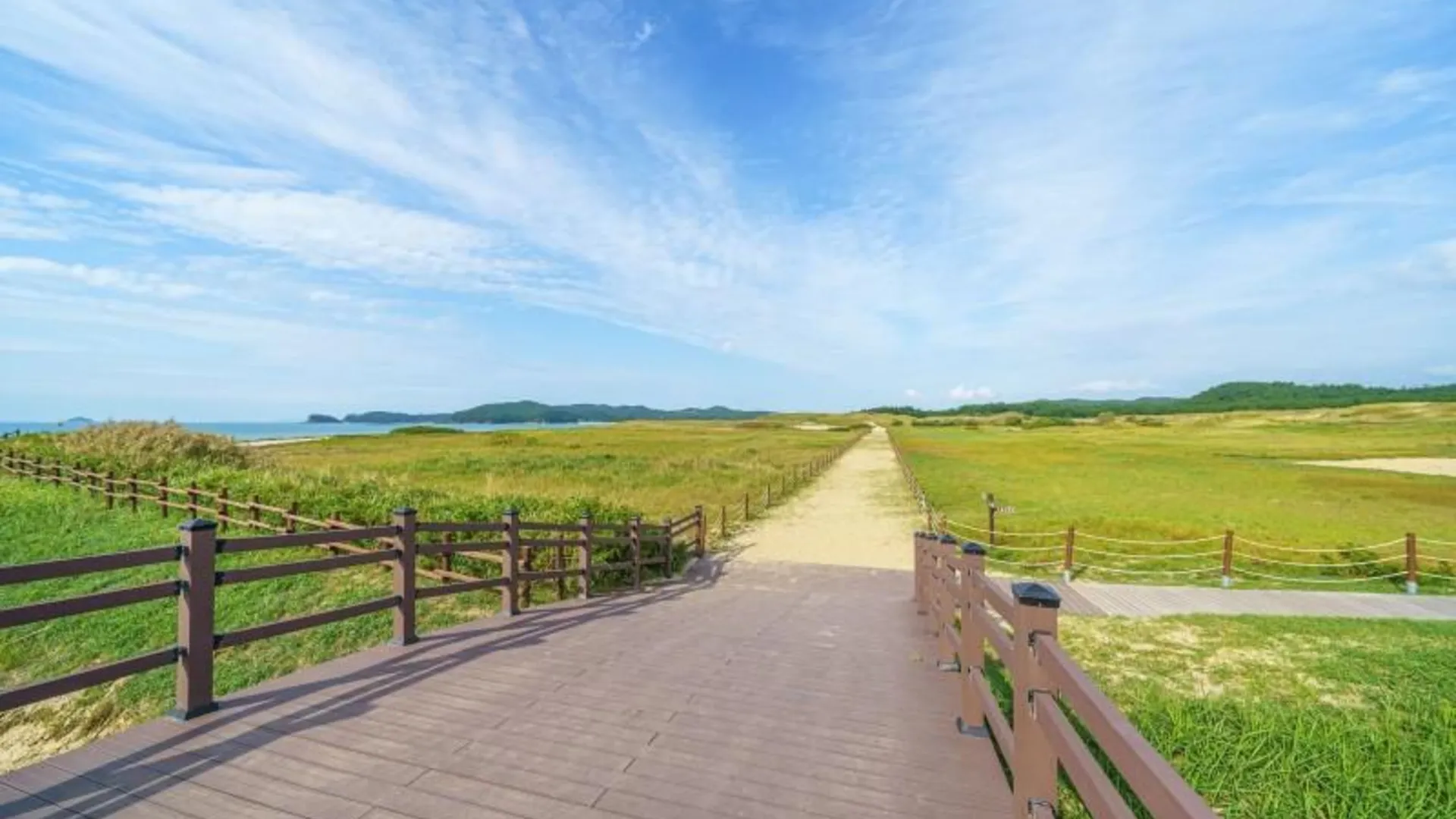 태안 태안 신두리해안사구펜션 1성급 게스트하우스 외관