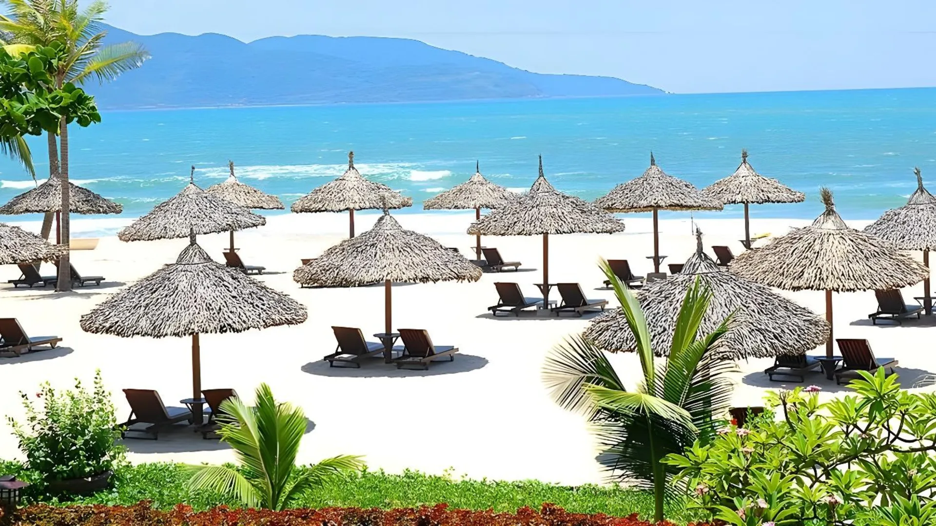 다낭 푸옥미의 프라이빗 하우스 (300m², 침실 4개, 프라이빗 욕실 5개) 4성급 게스트하우스 레스토랑