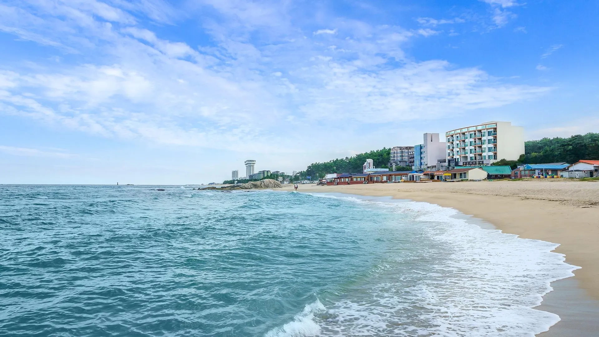 강릉 강릉 경포대 포시즌 비치 호텔 호텔 부대시설