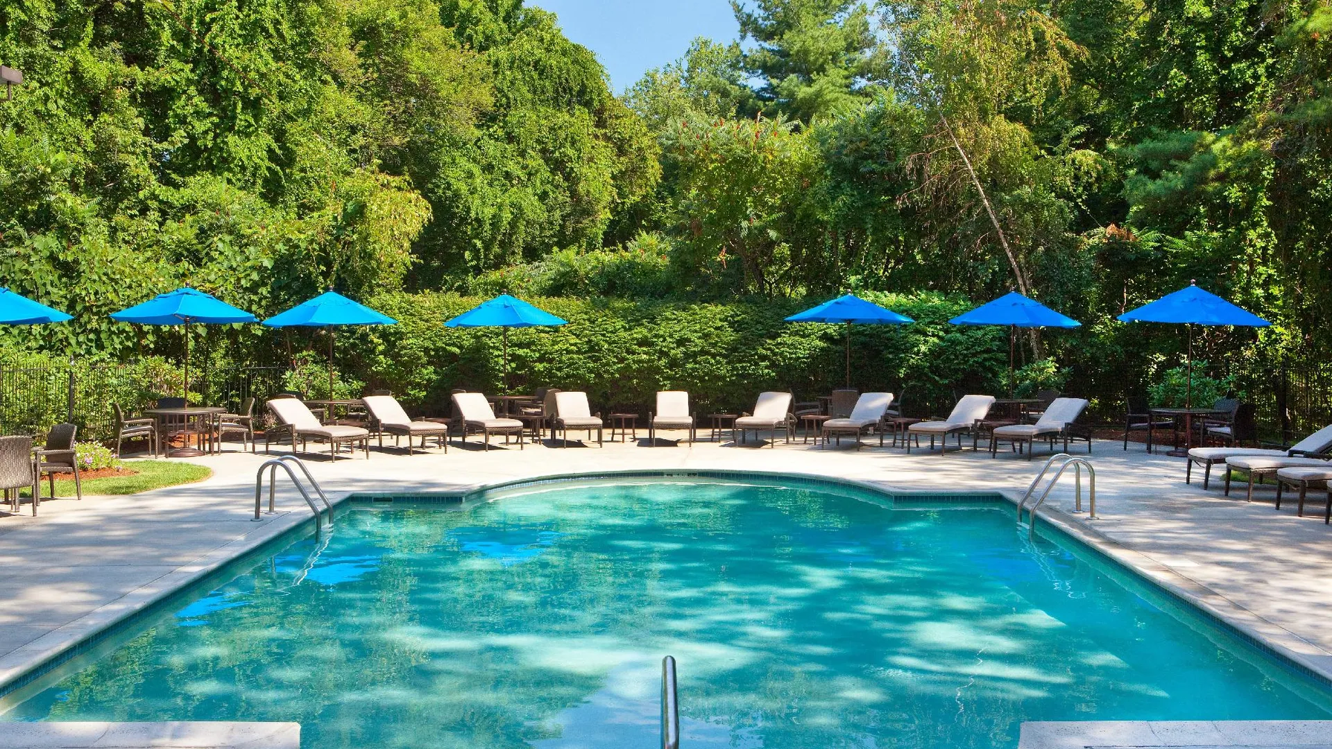 벌링턴 (MA) 보스턴 메리어트 벌링턴 4성급 호텔 레스토랑