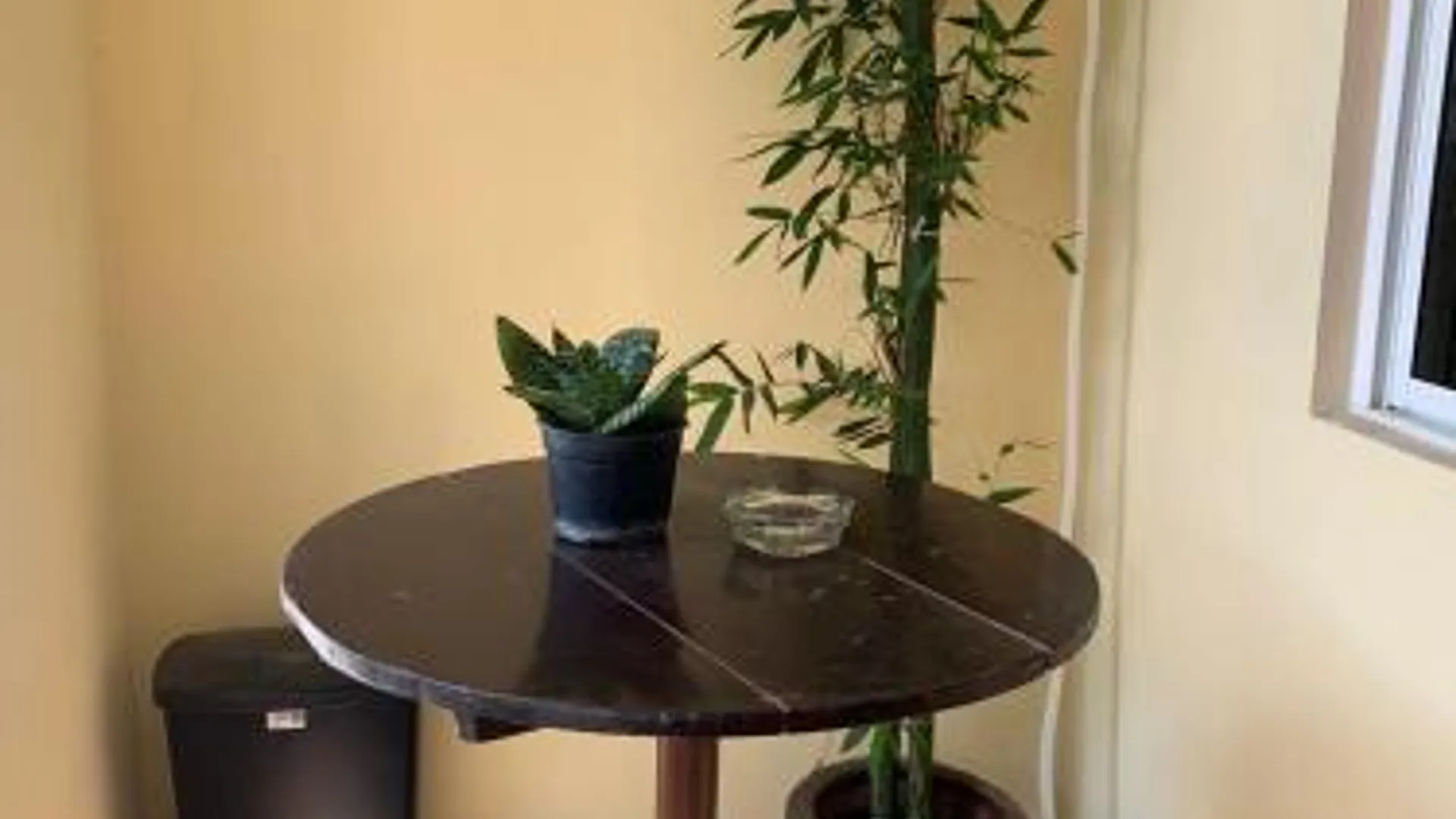 살리나 크루즈 Casa de los abuelos 호텔 외관