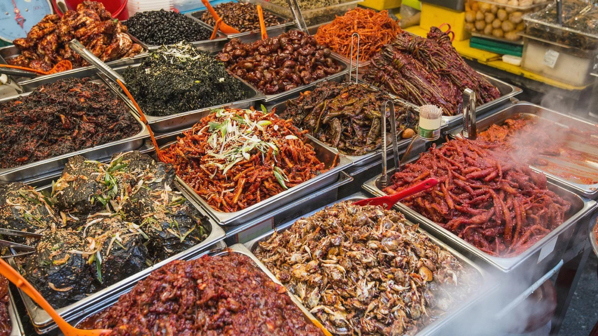 서울 양재 호텔 신트라 2성급 호텔 전망