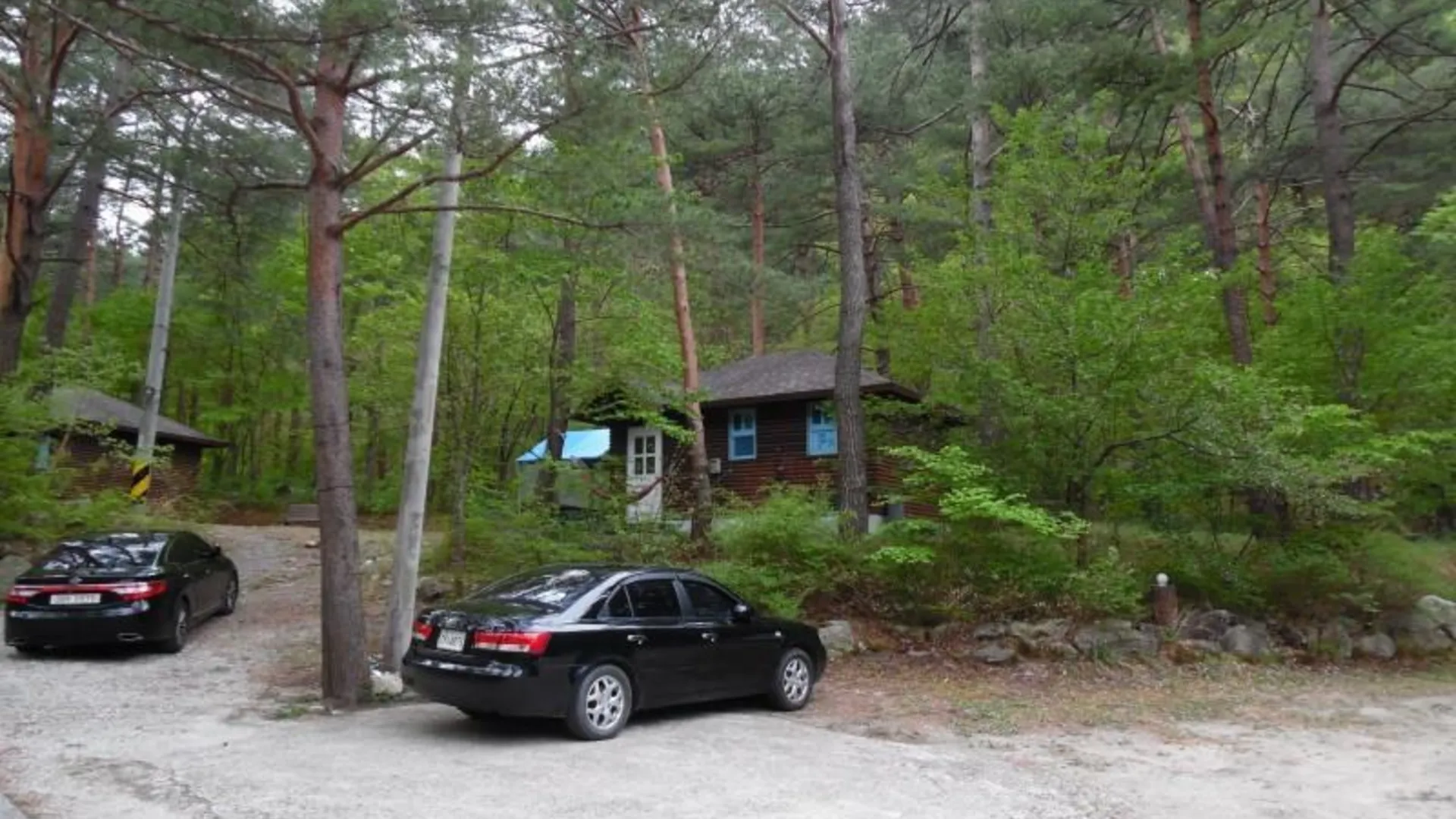 양양 양양 숲속의집펜션 2성급 게스트하우스 객실