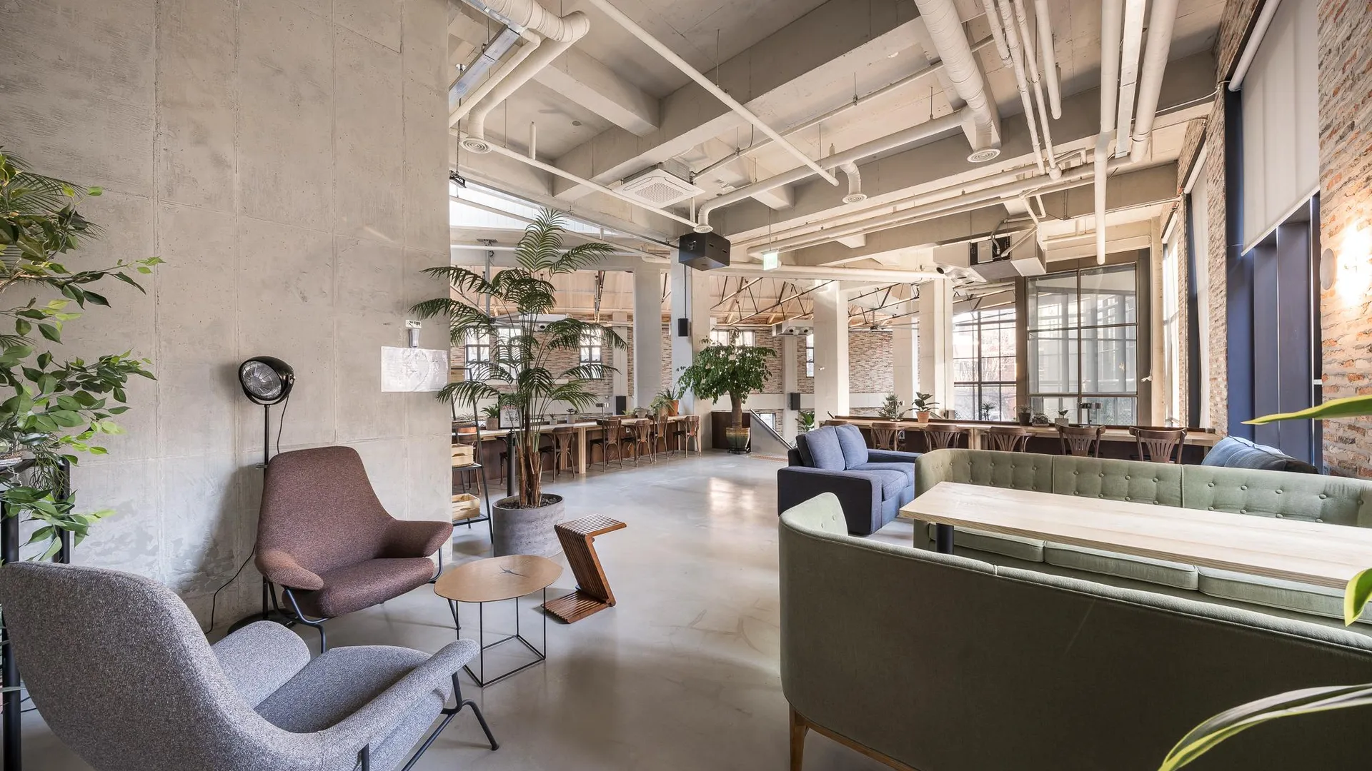 서울 주니비노 호텔 홍대 3성급 호텔 수영장