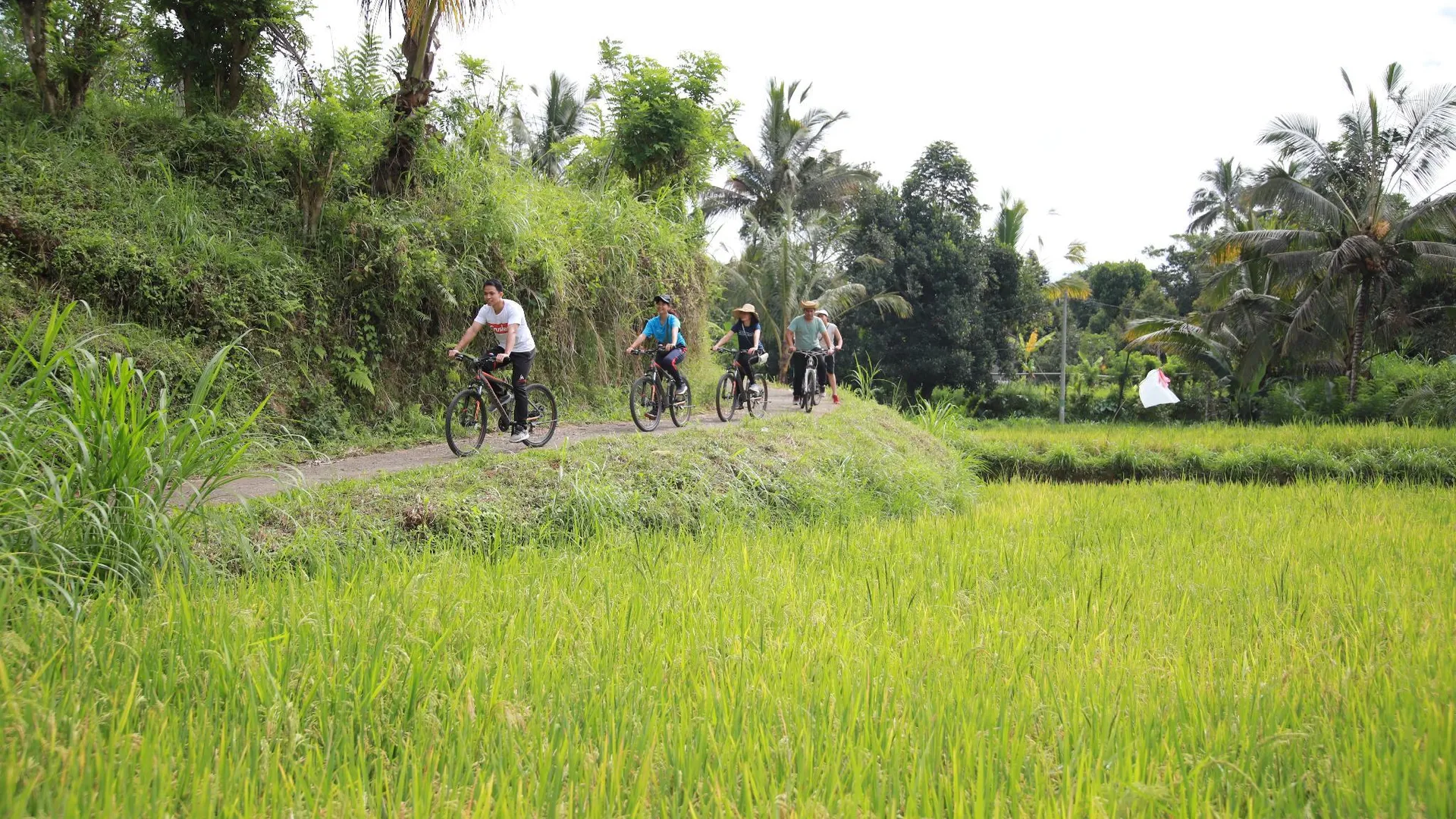 발리 빠양안 / 파양안의 프라이빗 하우스 (500m², 침실 3개, 프라이빗 욕실 3개) 3성급 싱글룸 전망