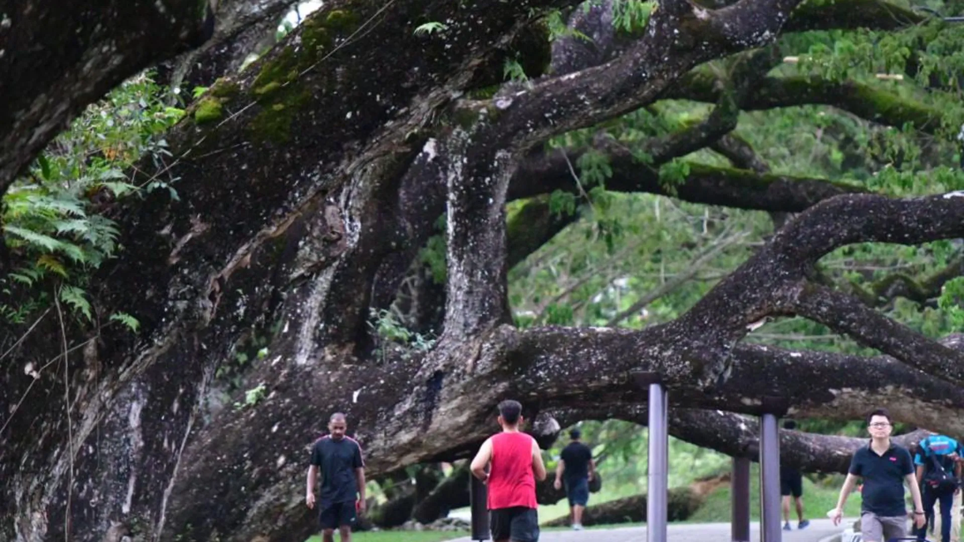 타이핑 카문팅의 프라이빗 하우스 (100m², 침실 3개, 프라이빗 욕실 2개) 3성급 싱글룸 전망