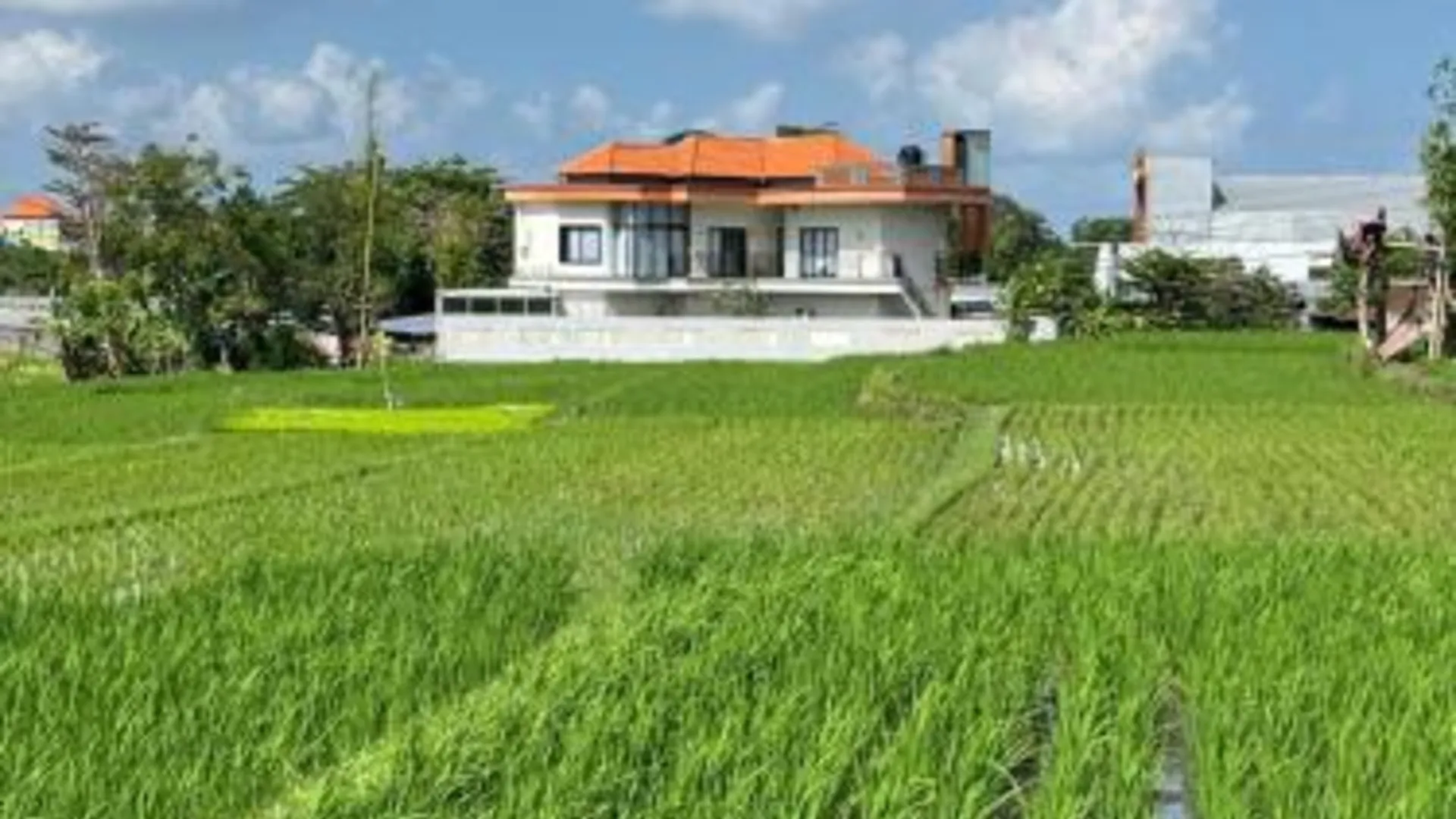 발리 Padi Breeze Guesthouse Pererenan Bali 3성급 호텔 객실